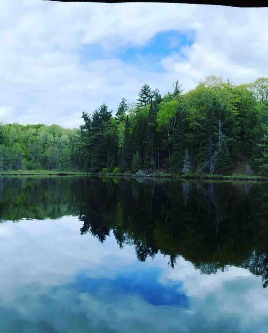 Four Season Waterfront Muskoka Retreat
