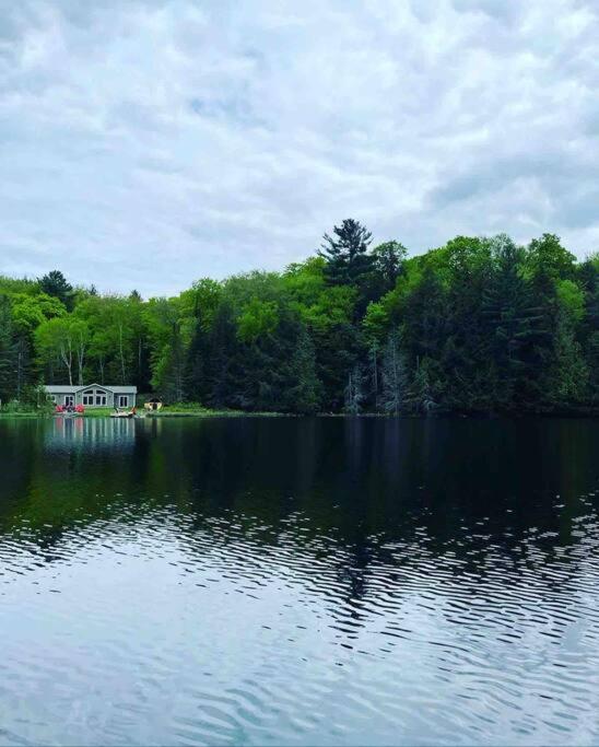 Four Season Waterfront Muskoka Retreat