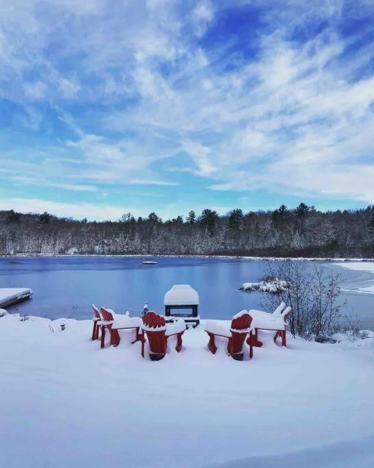 Four Season Waterfront Muskoka Retreat