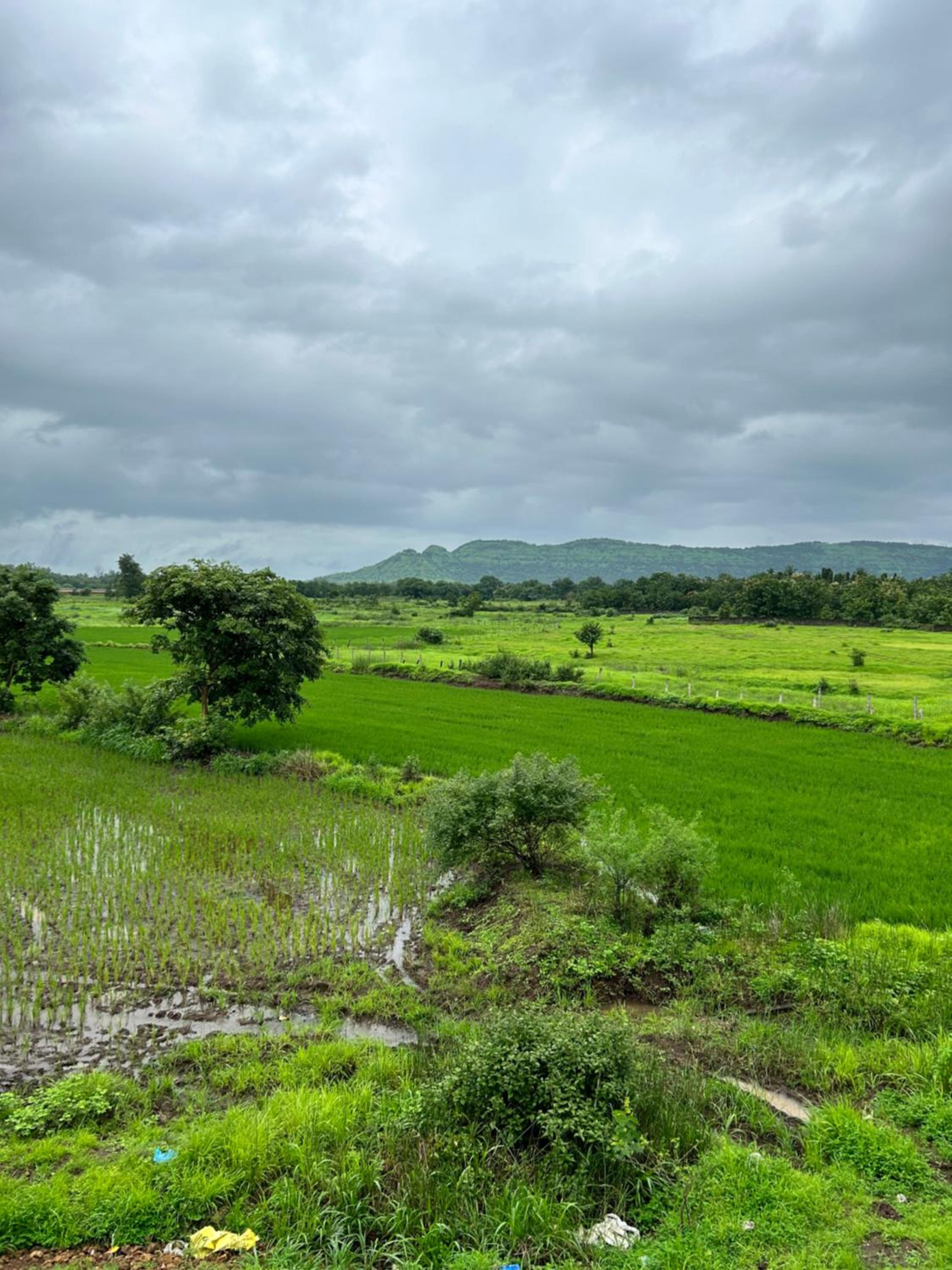 Karjat Hills - Refreshing Farmstay view 2