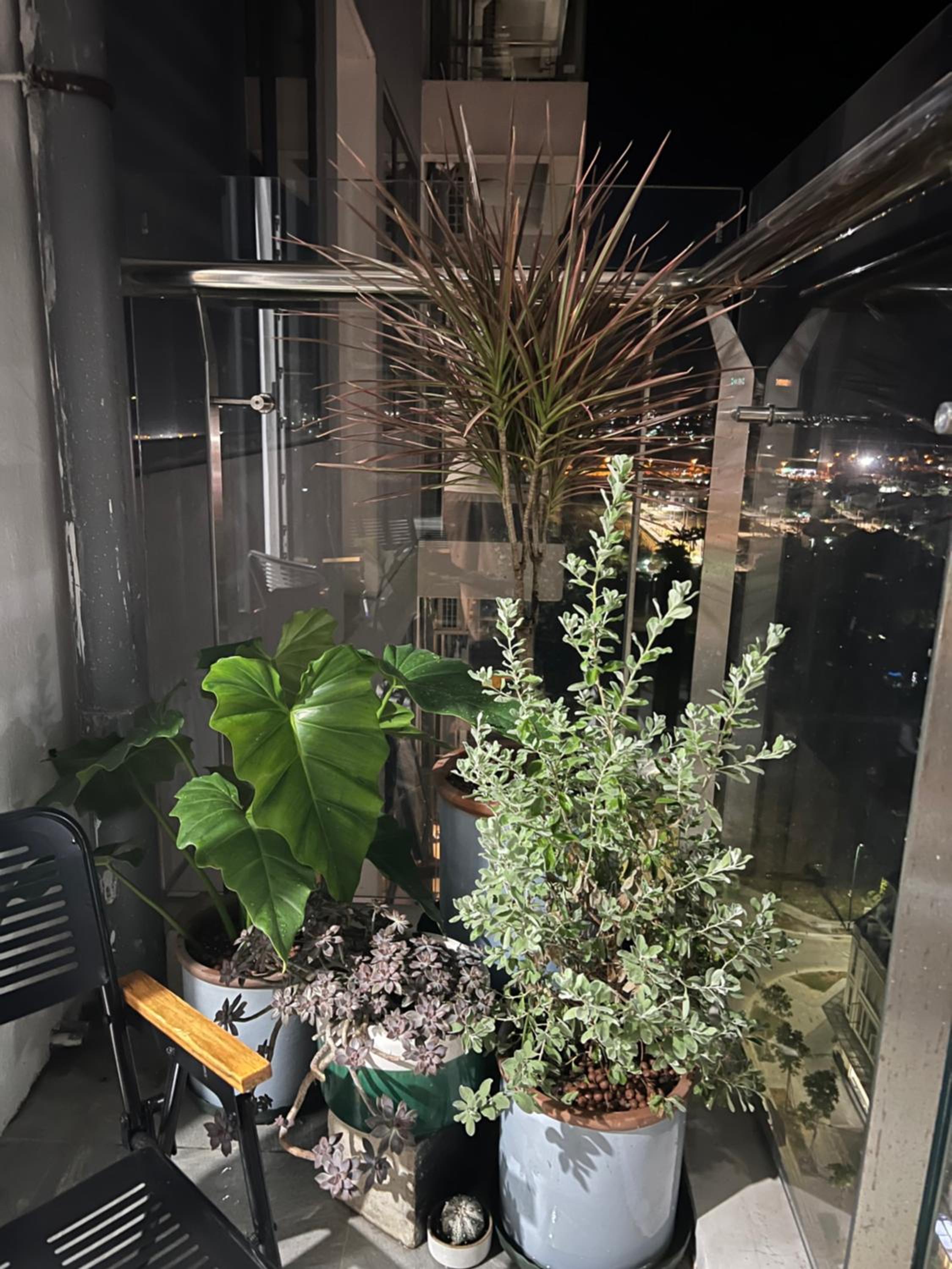 Photo 18