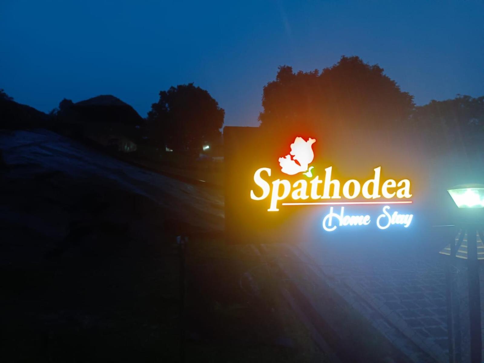 SPATHODEA