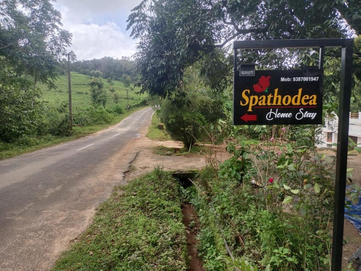 SPATHODEA