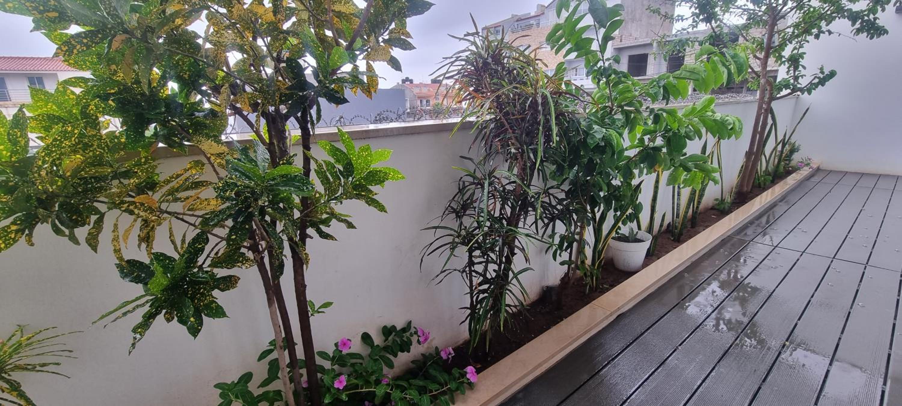 Kriol Guest House