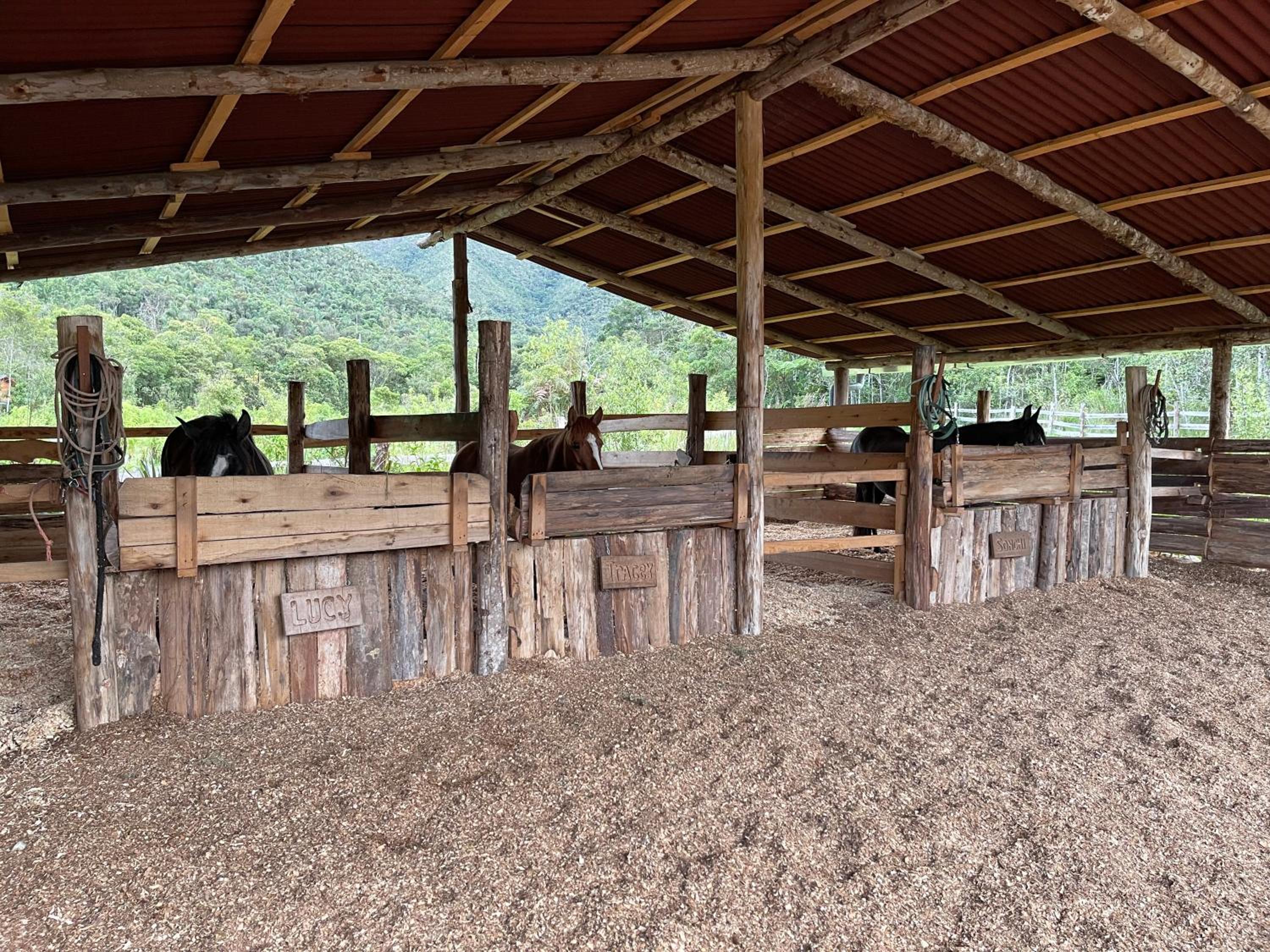 Camona Ecolodge