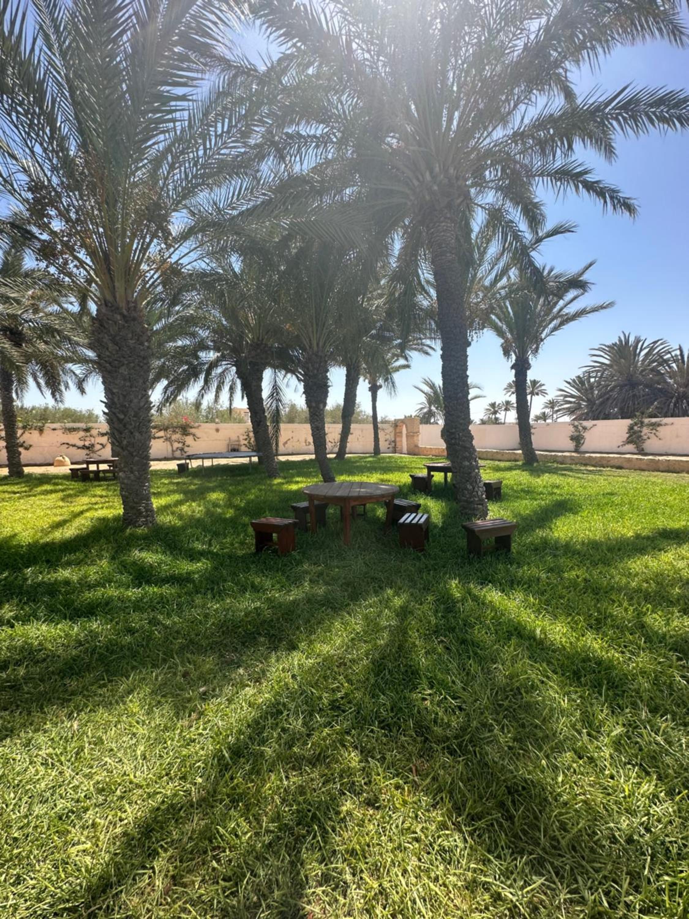 Le Patio de Mezraya