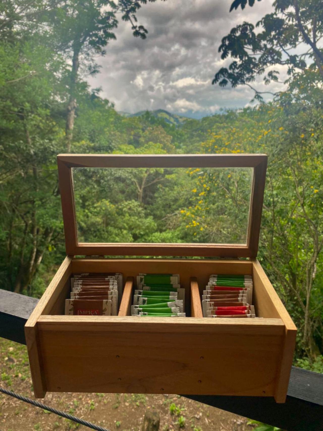 Above the Gulf, Vacation House