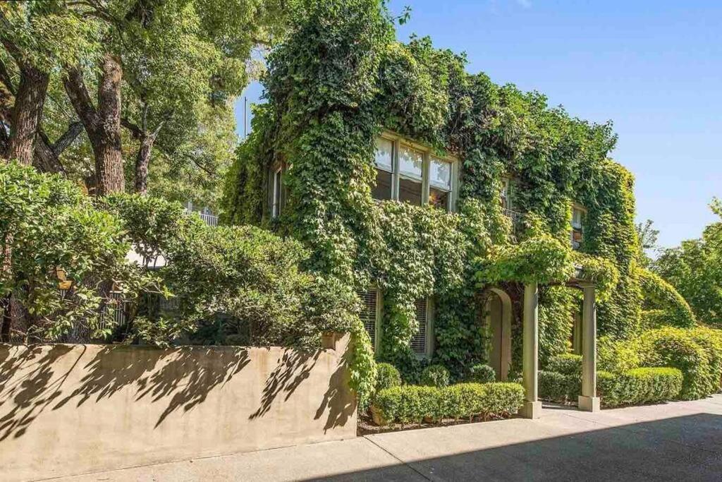 Ivy House Healdsburg