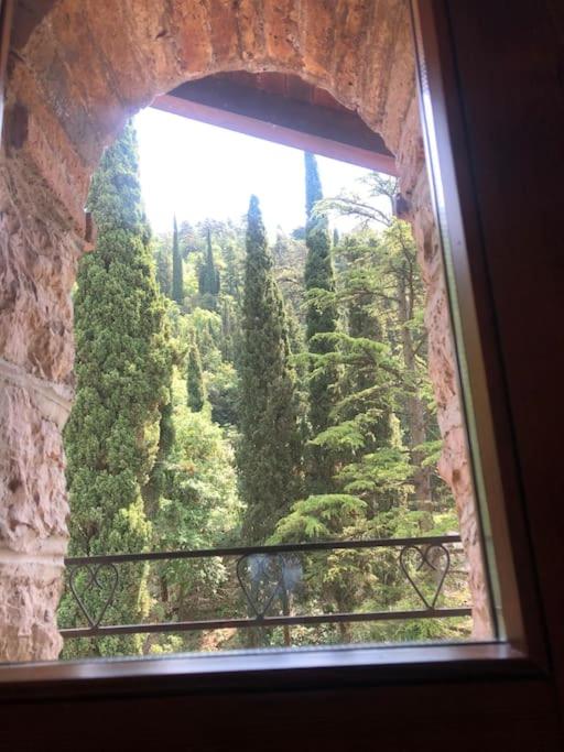 Villa retro'e parco con vista castello view 5