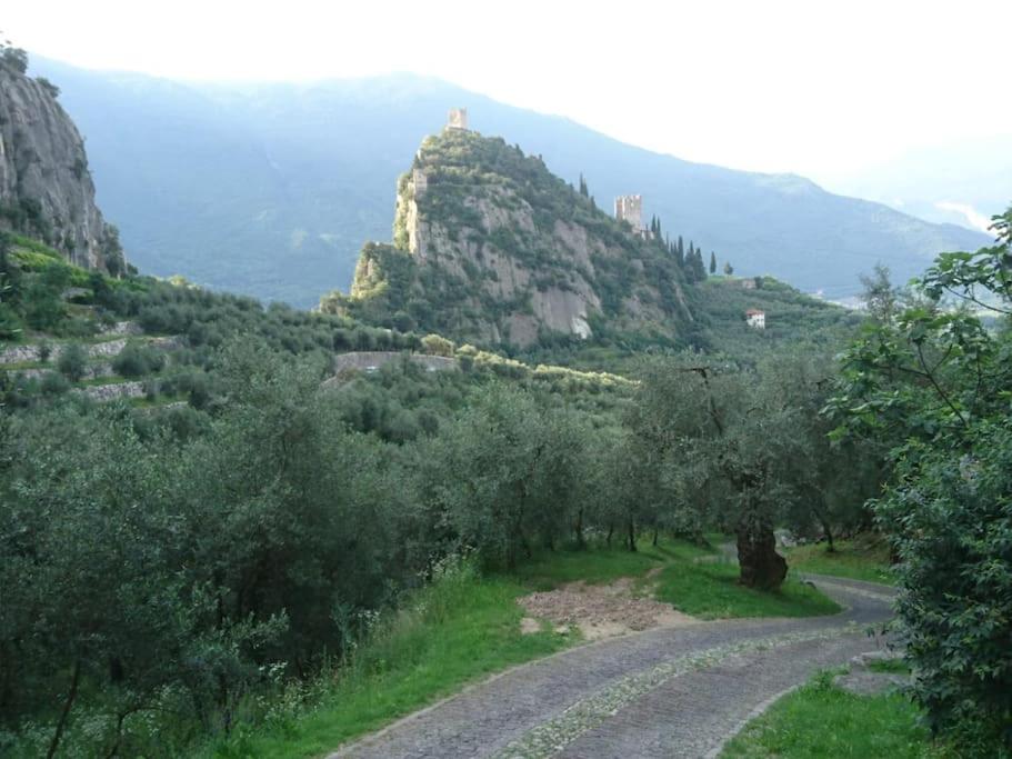 Photo 27