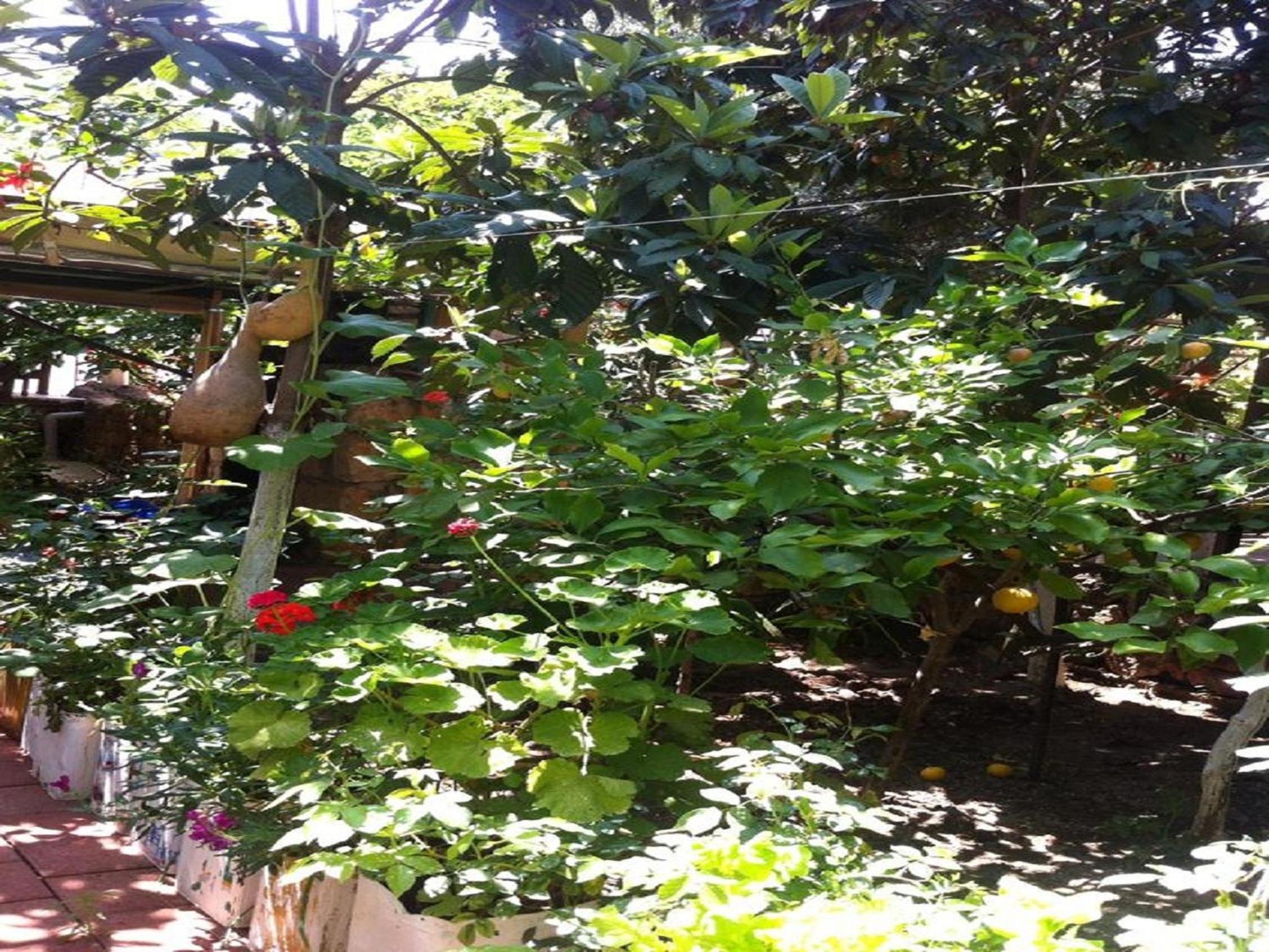 Photo 30