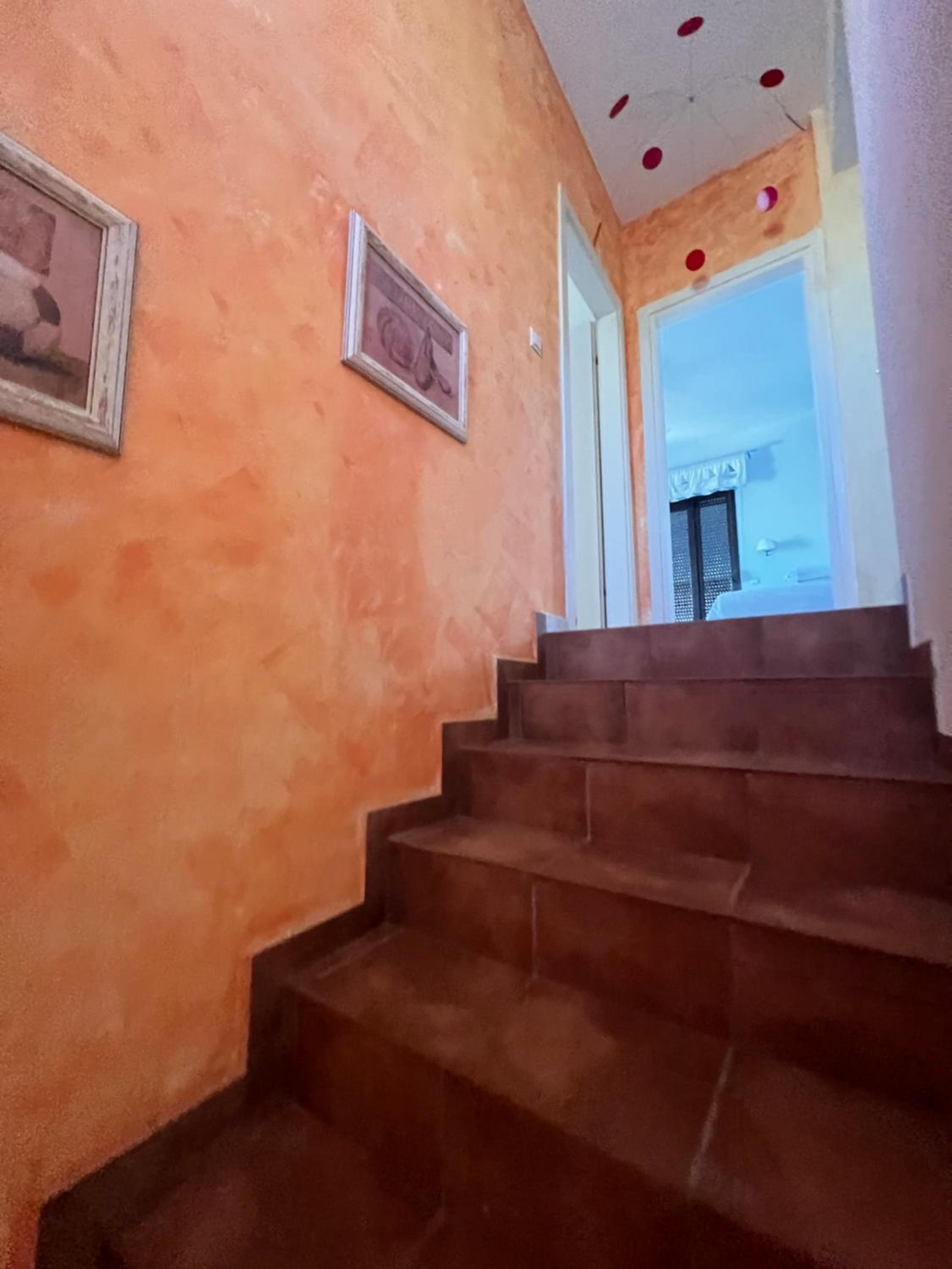 Country Vila photo 4