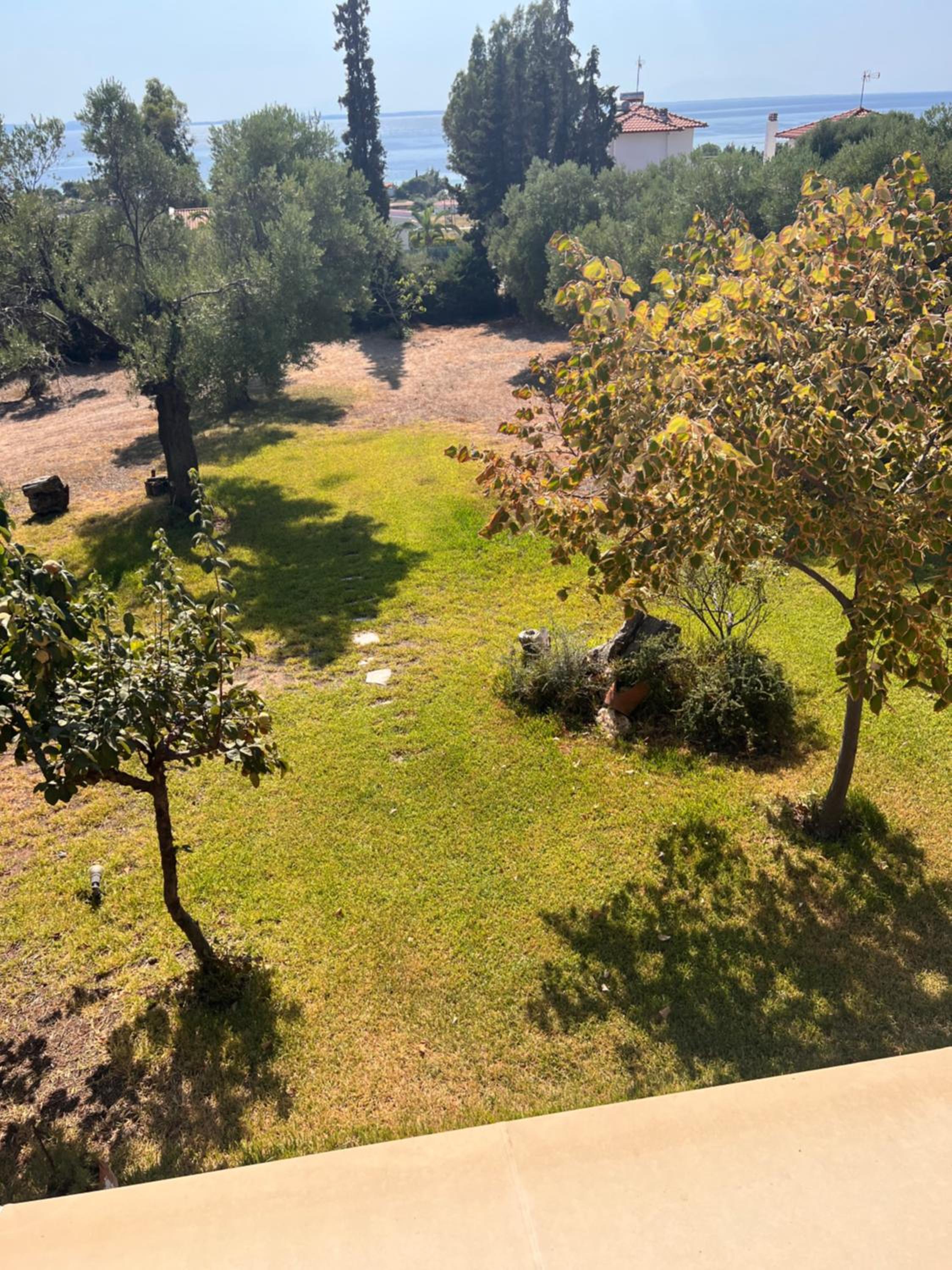 Country Vila