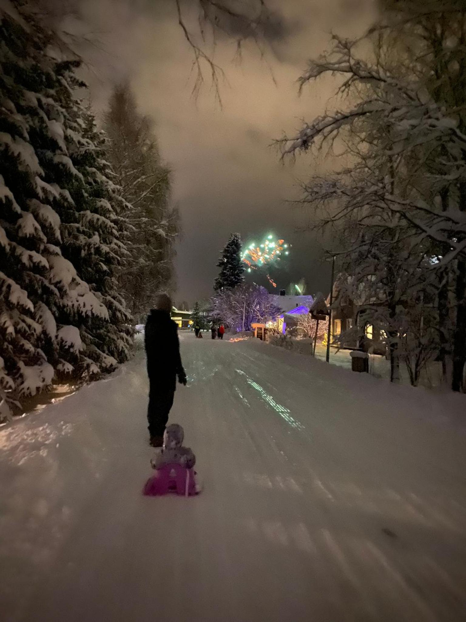 Lapland Luminary Villa