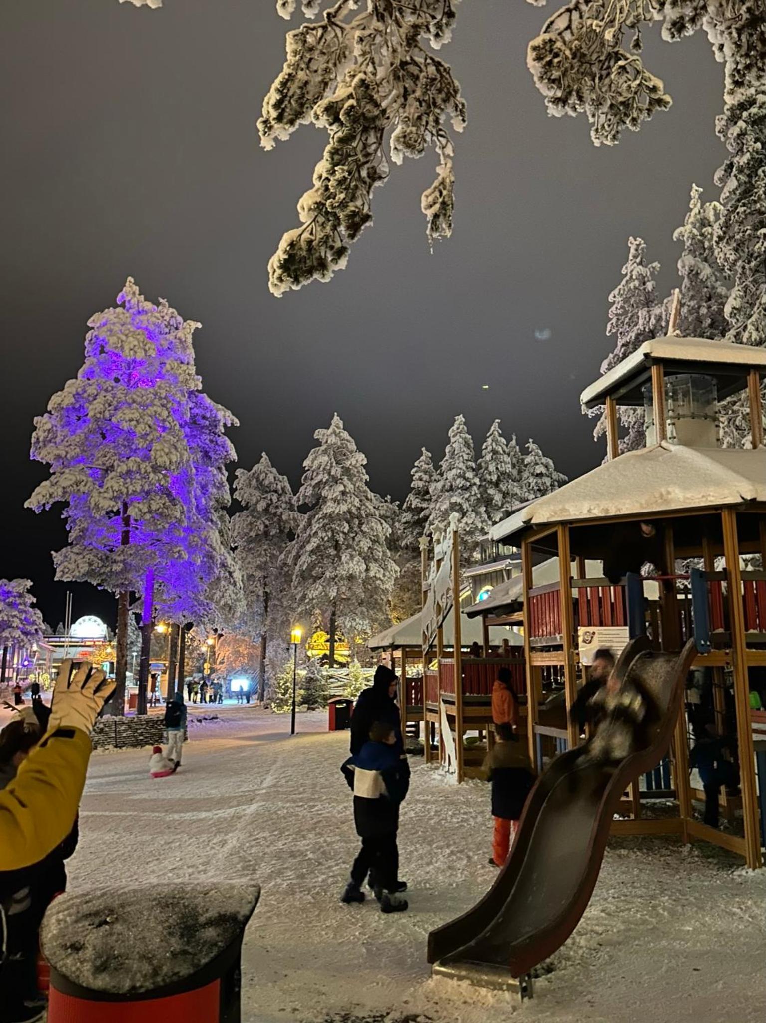 Lapland Luminary Villa