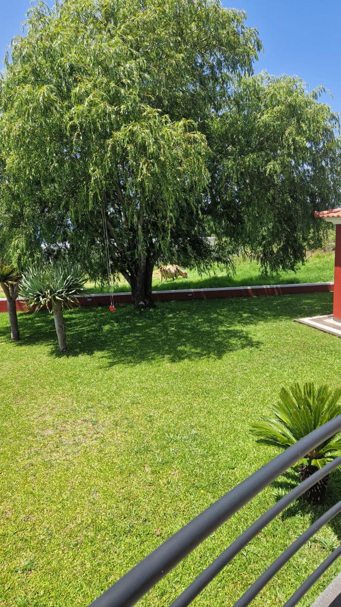Vila Henrique Country Cottage