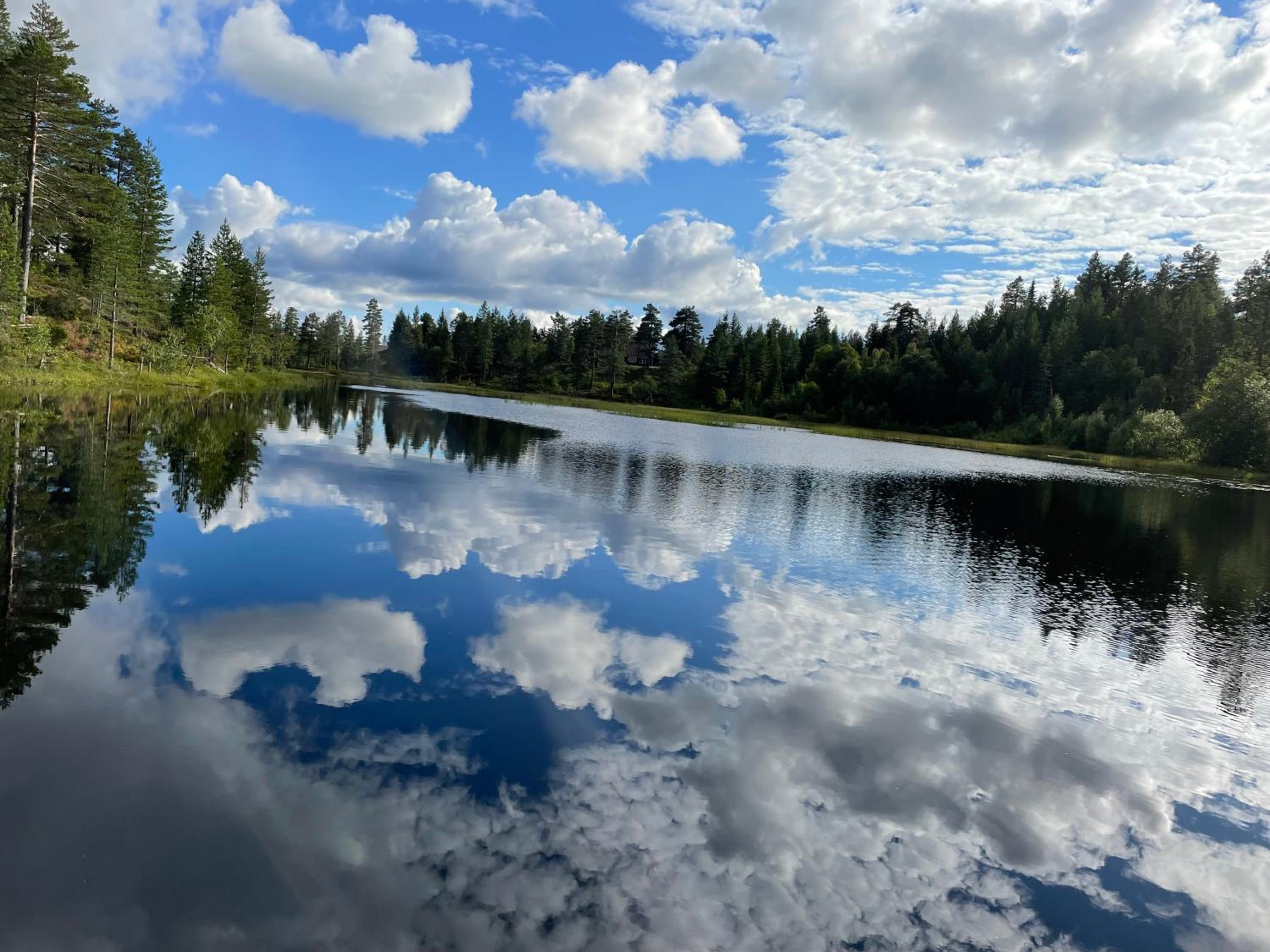 Photo 20