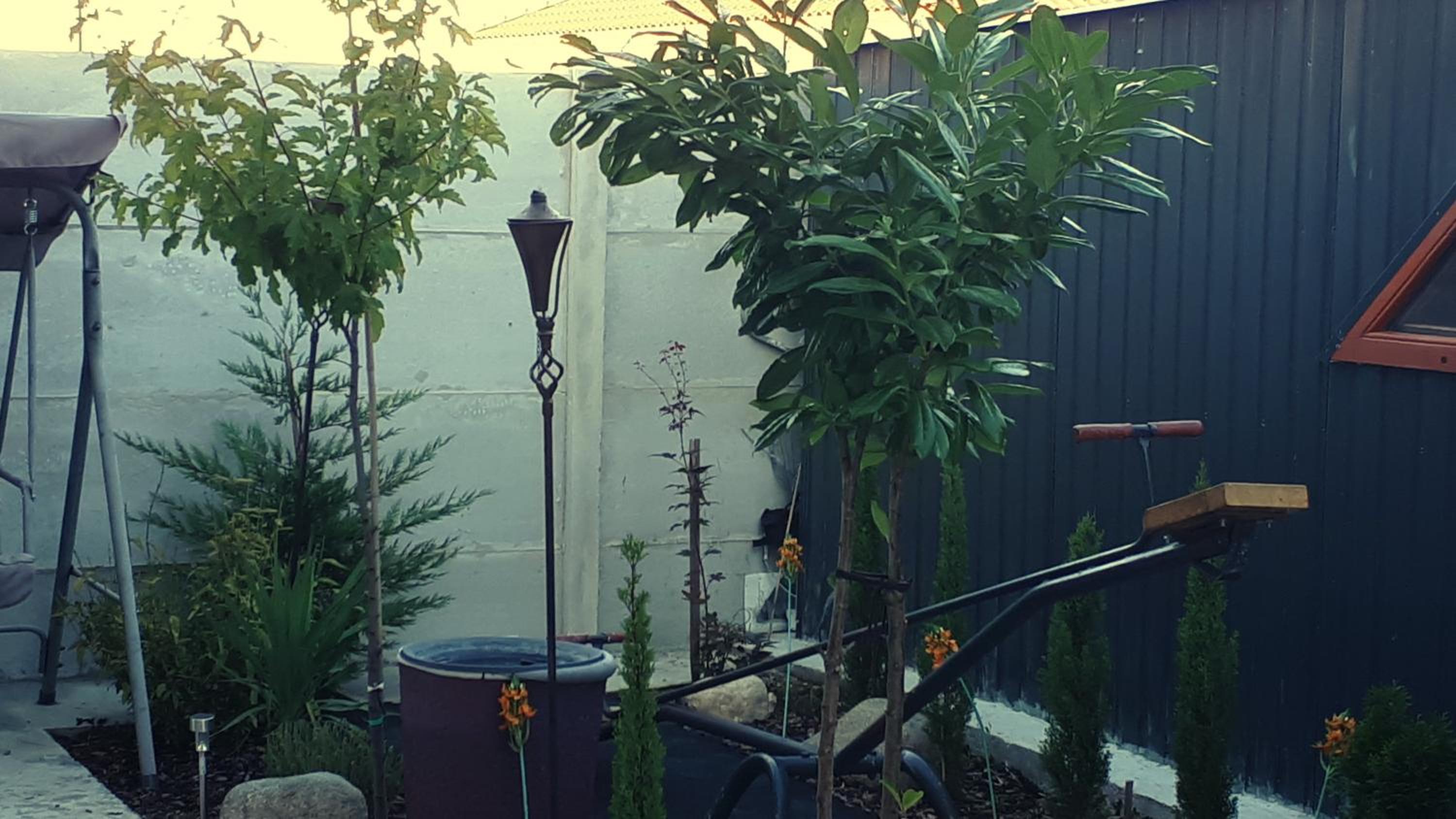 Penzión Florens, Nesvady