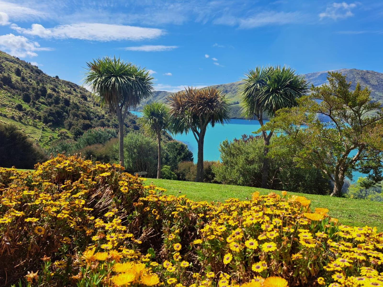 Port Levy B & B Christchurch view 5