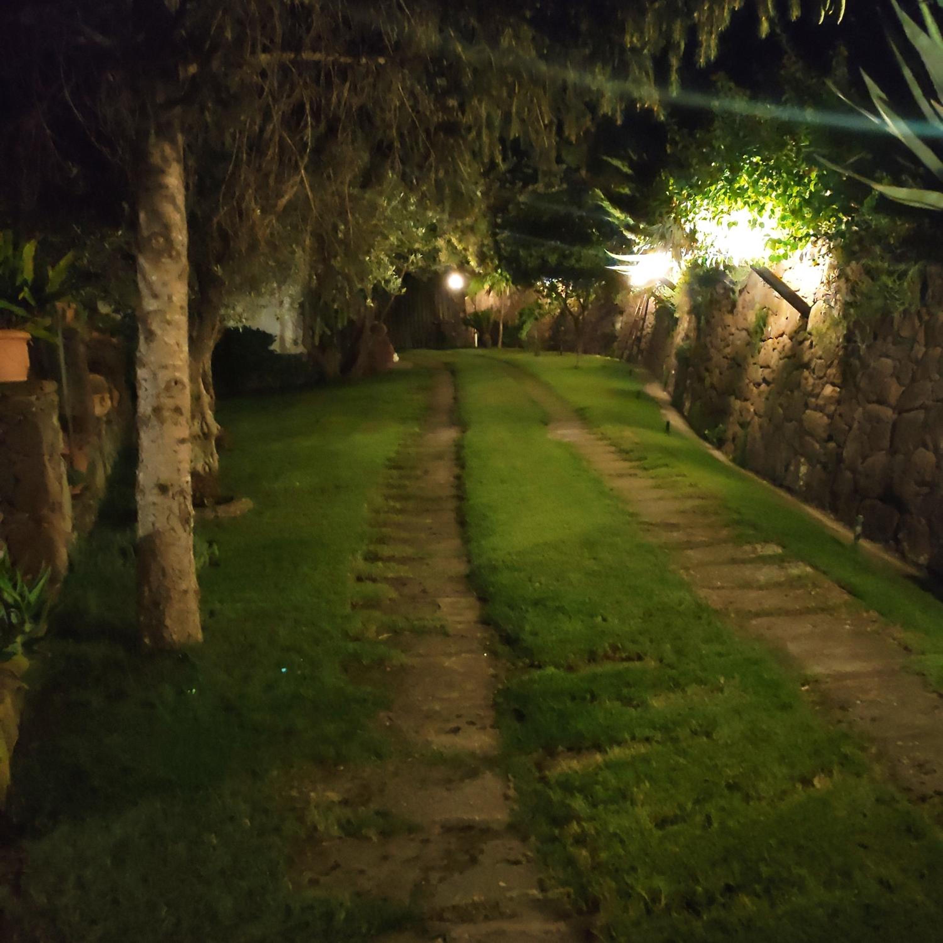 Photo 55