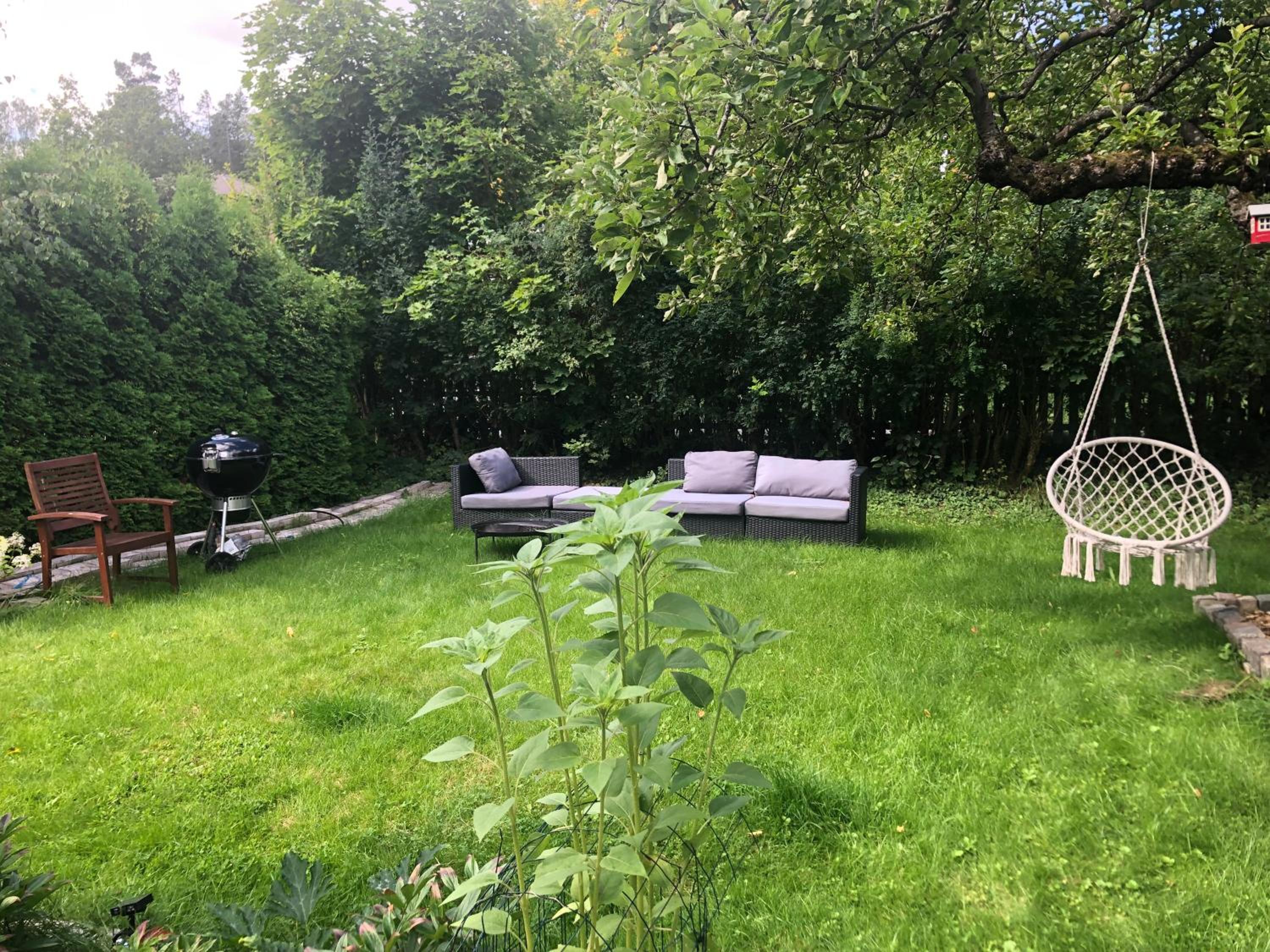 Photo 23