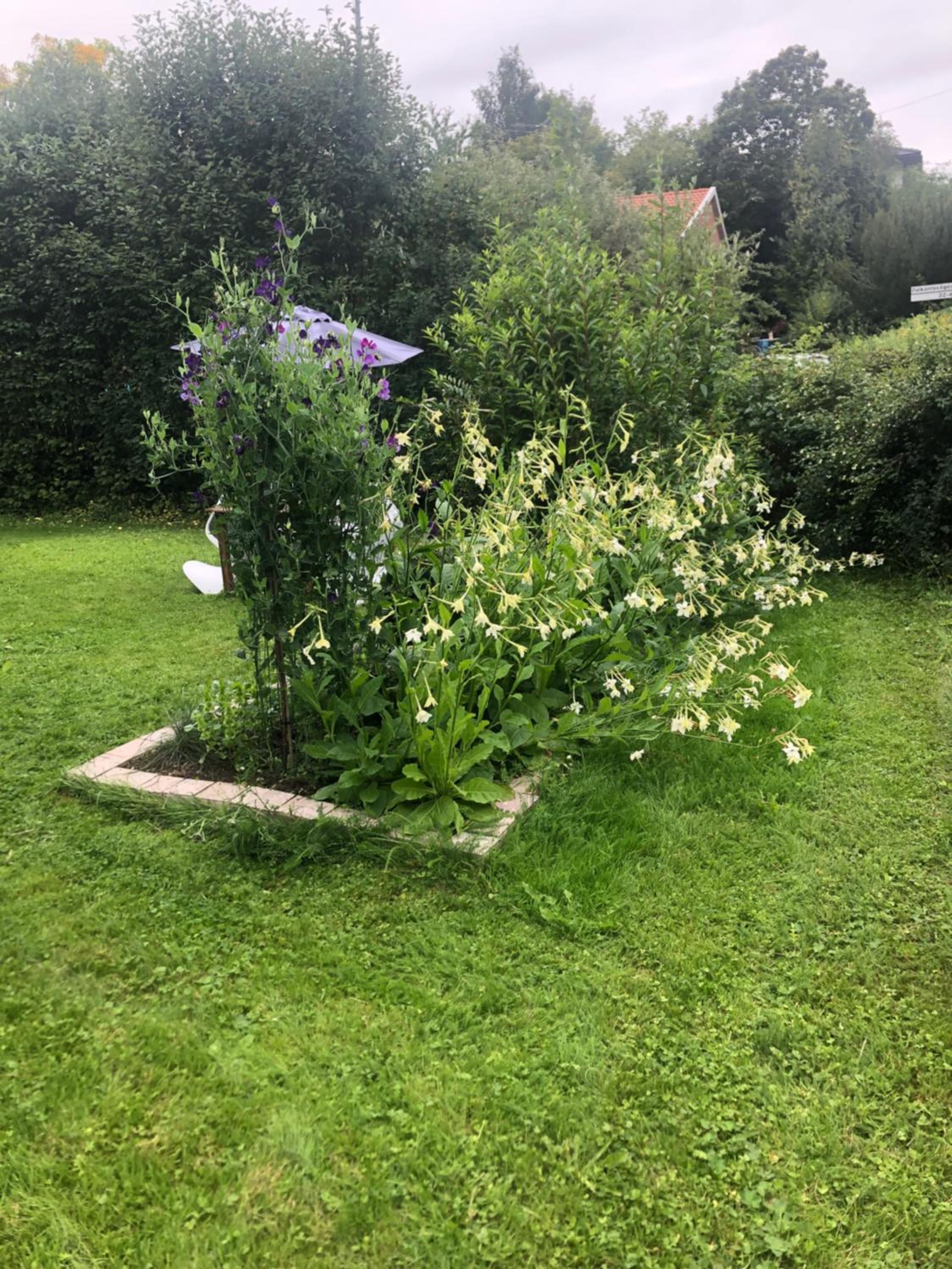 Photo 20