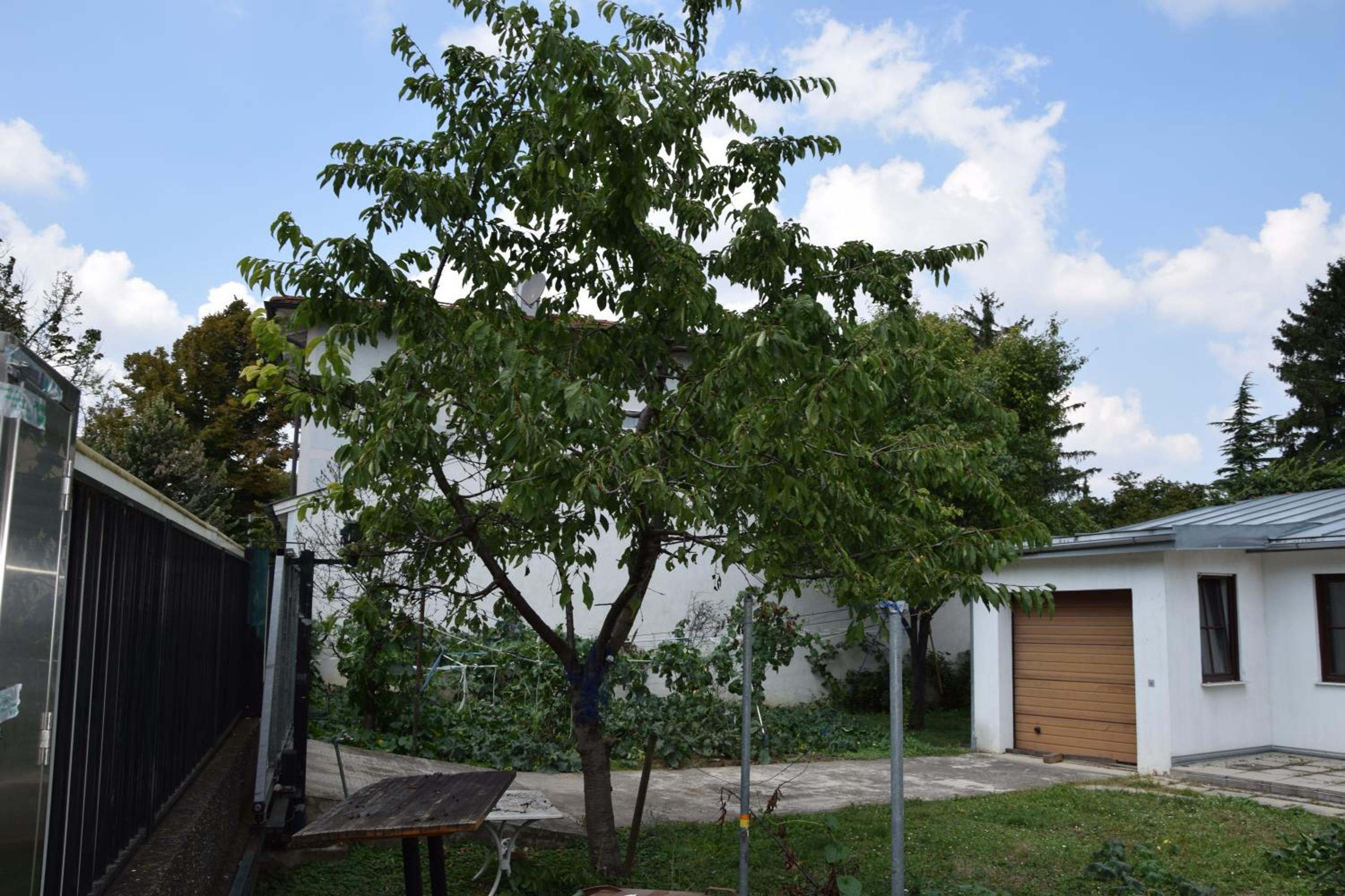 Central-Vintage Villa with free Parking and 5min walk to Metro
