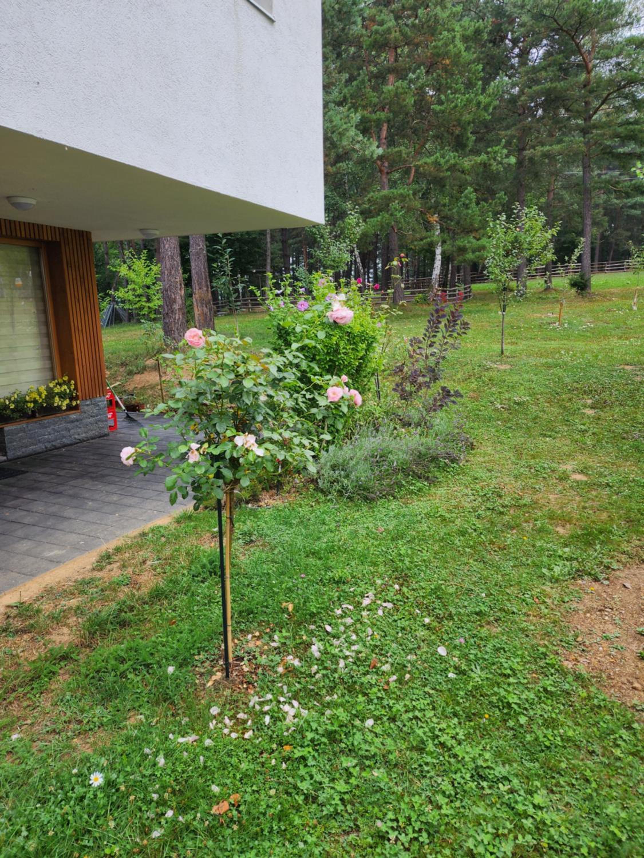 Forest Villa No 303,Tarcin