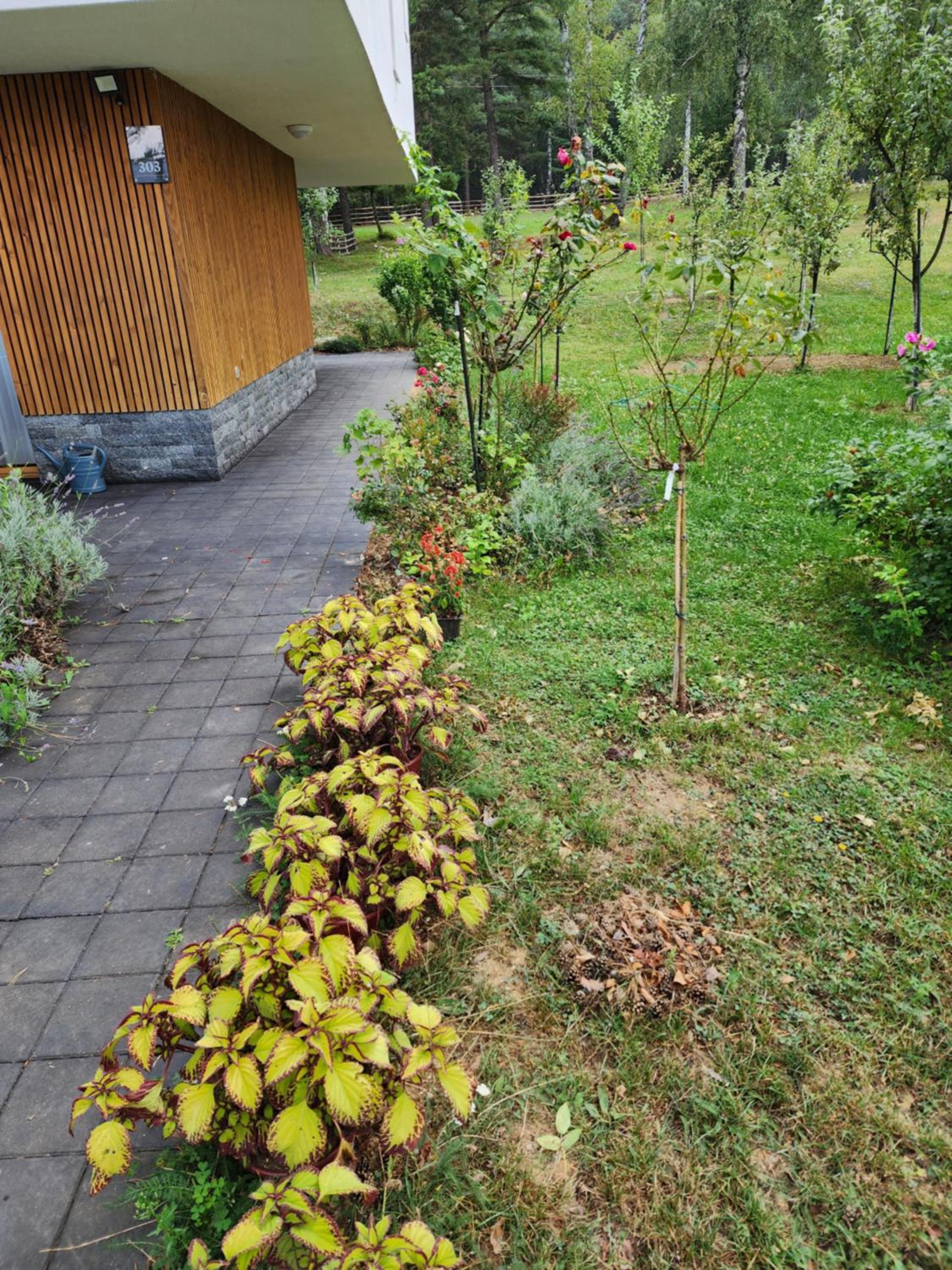 Forest Villa No 303,Tarcin