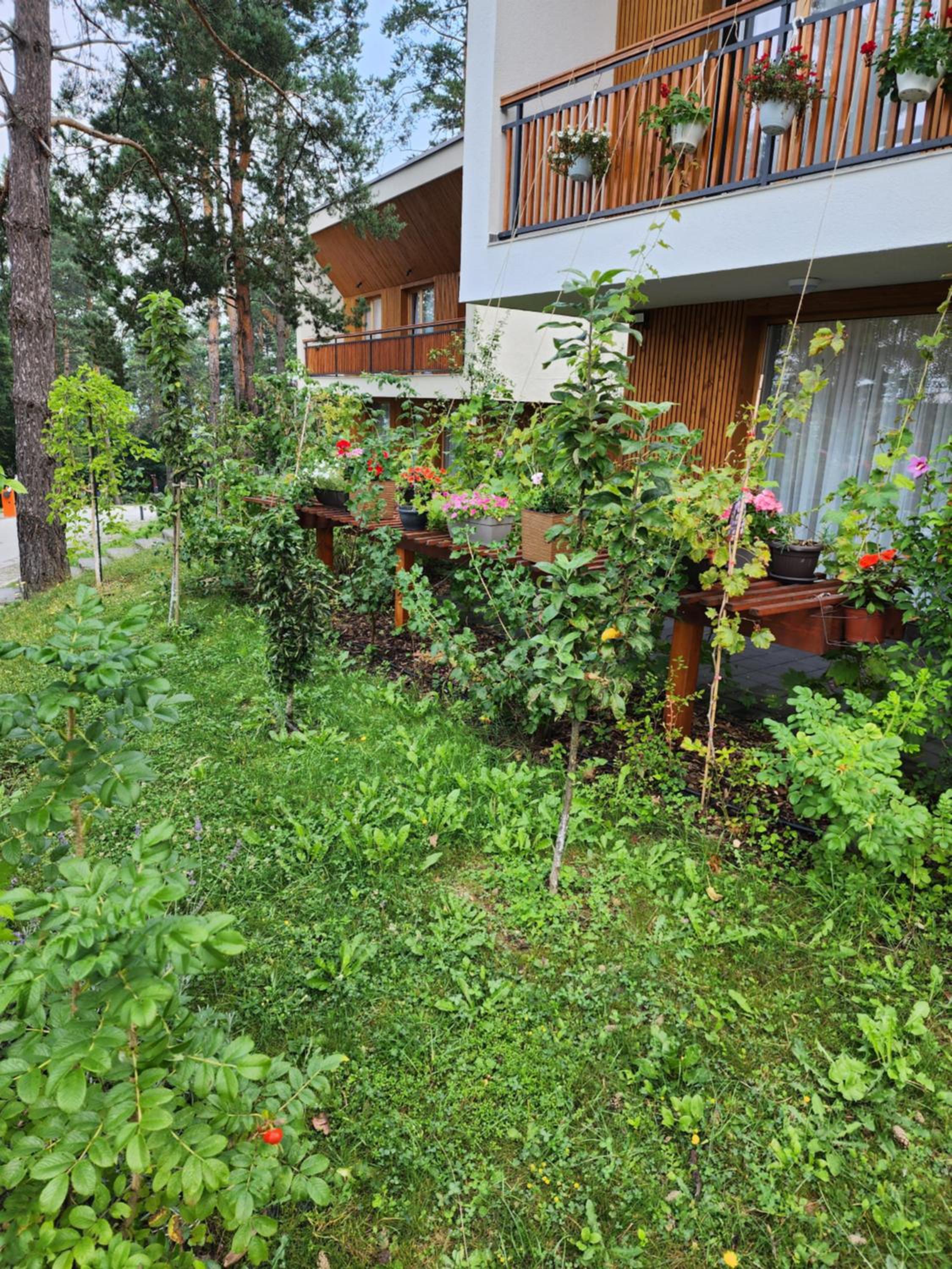 Forest Villa No 303,Tarcin