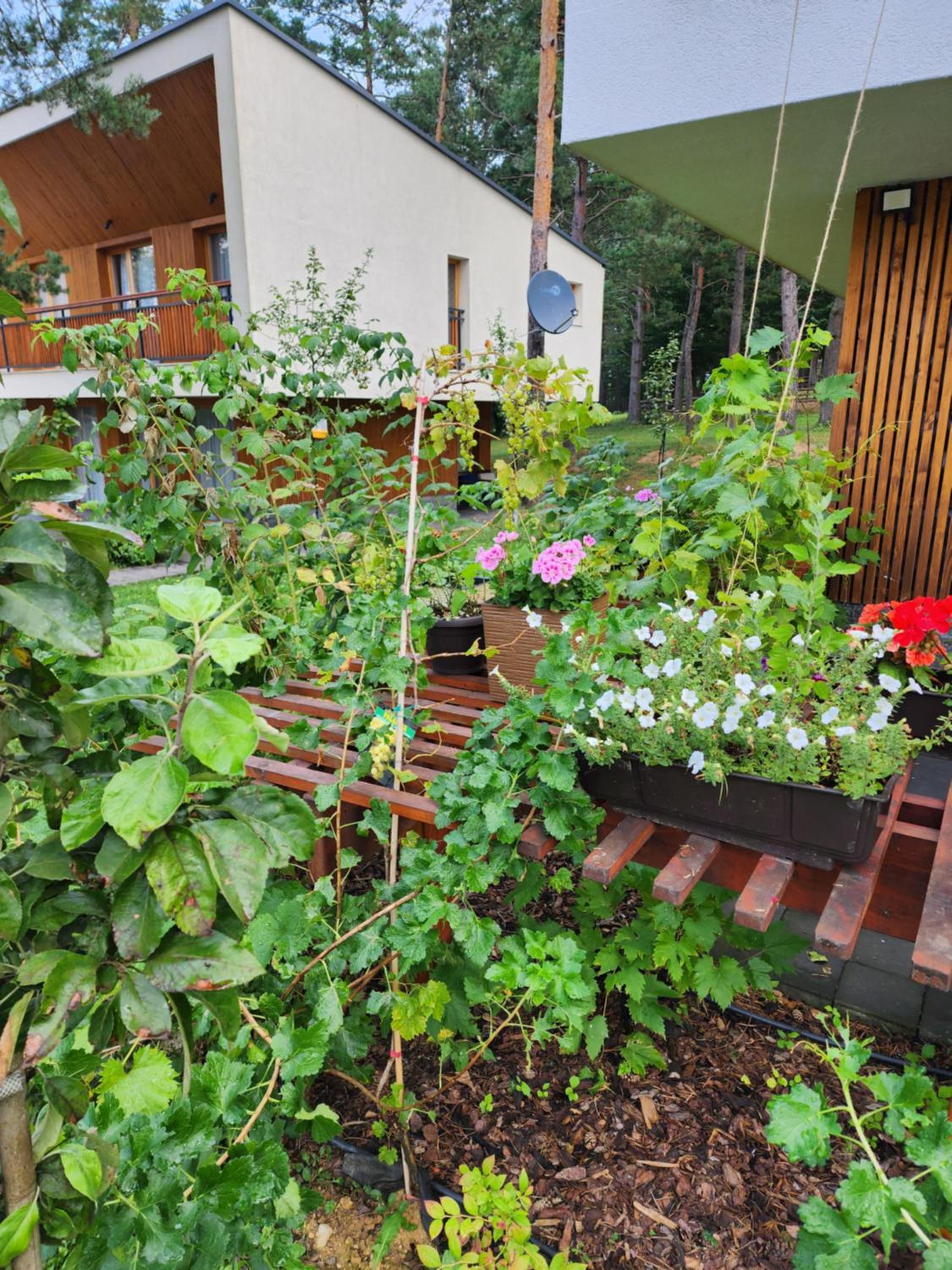 Forest Villa No 303,Tarcin