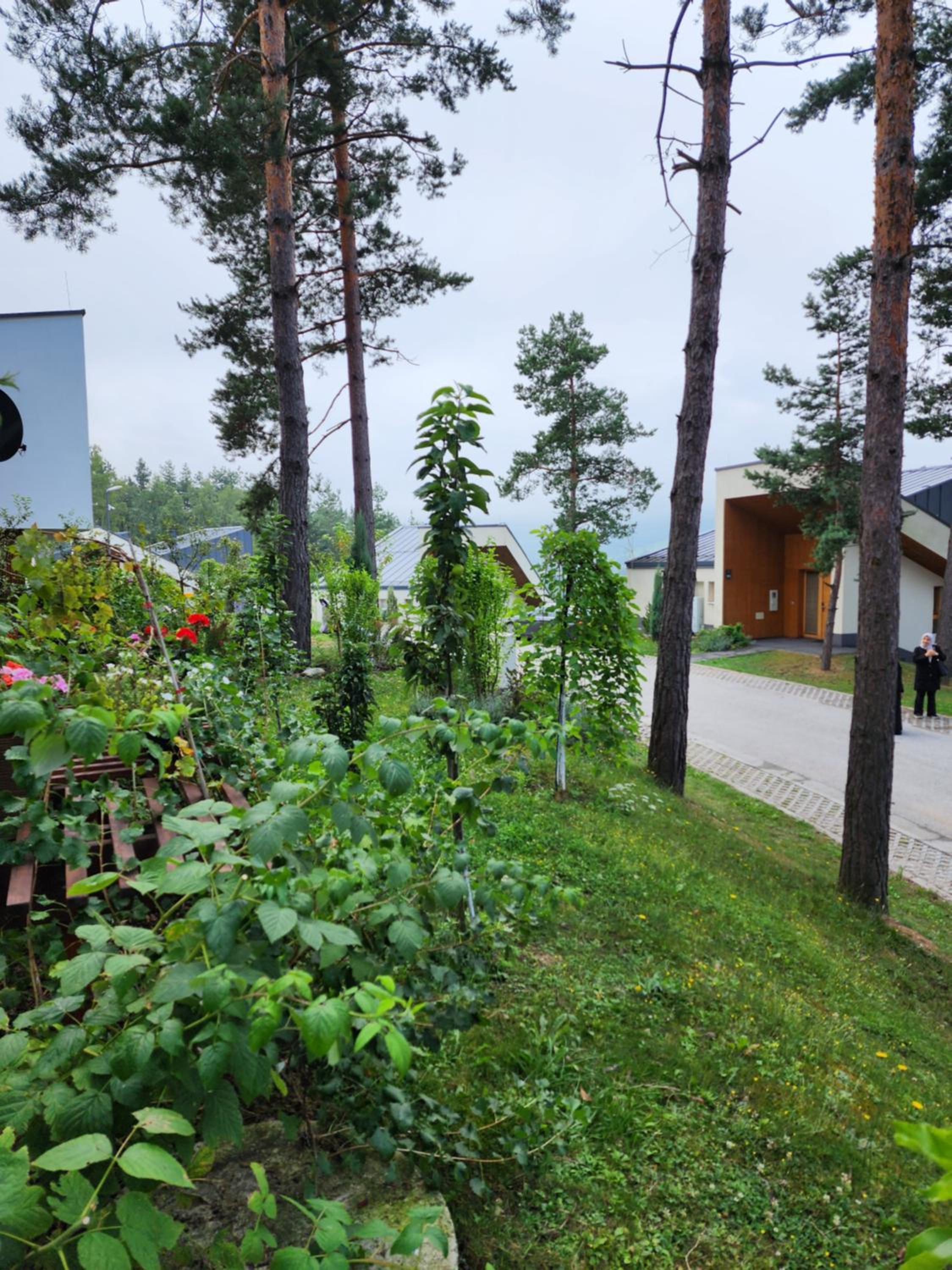 Forest Villa No 303,Tarcin
