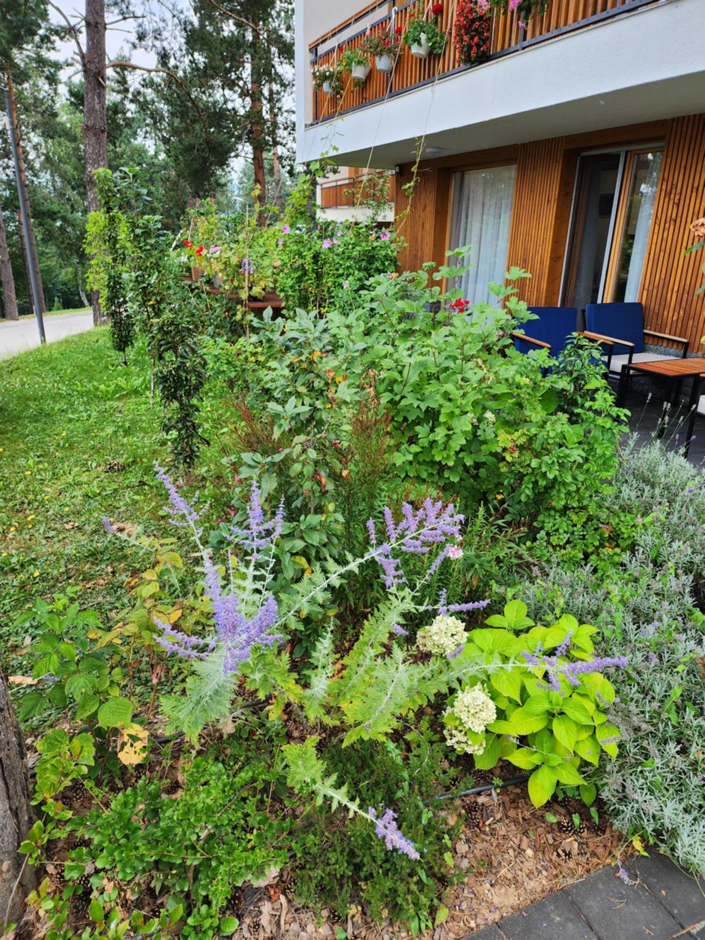 Forest Villa No 303,Tarcin
