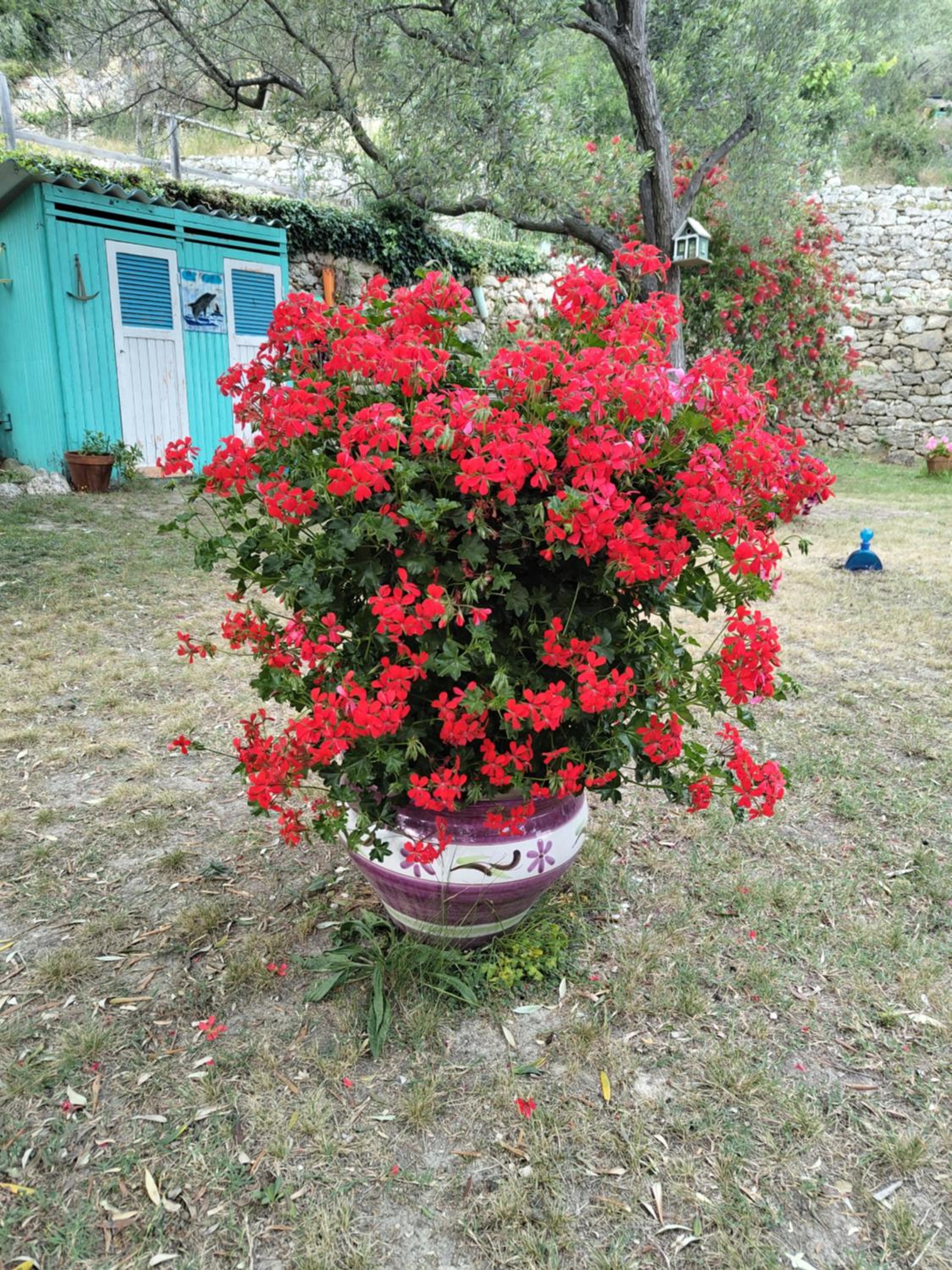 Photo 46