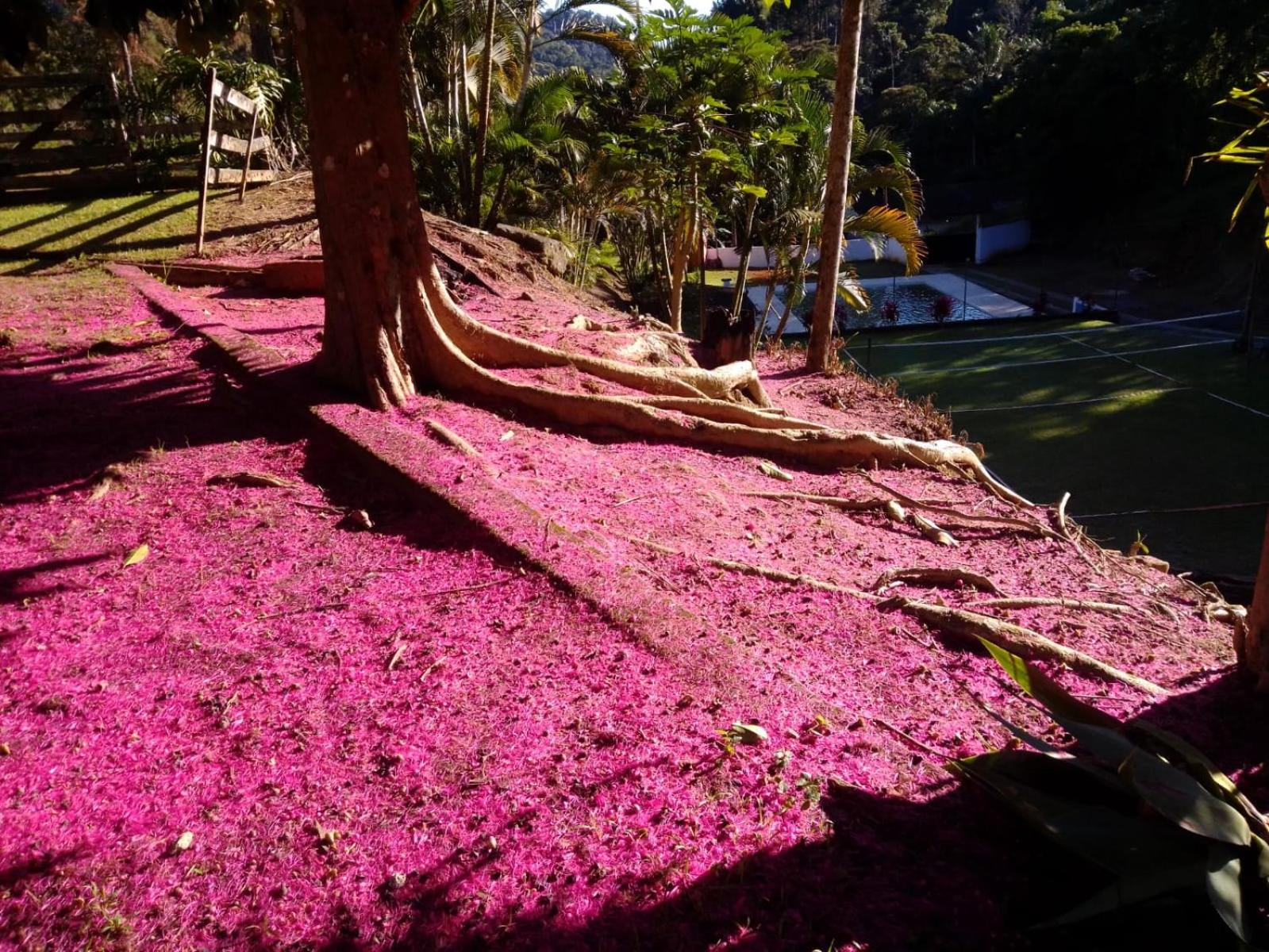 Mangaratiba Lazer e paz na Mata Atlântica