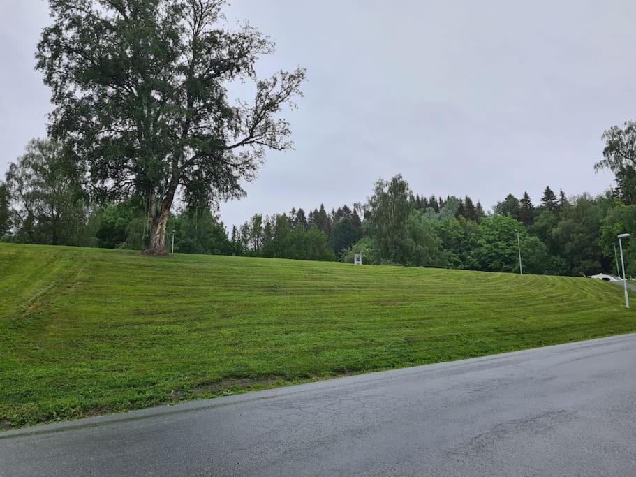 Leilighet nær Granåsen skianlegg view 5