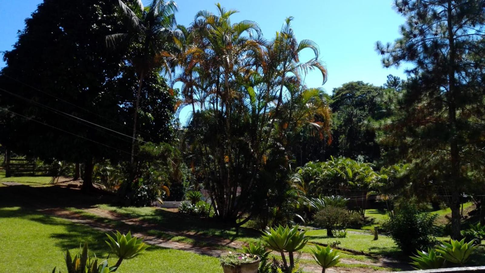 Mangaratiba Lazer e paz na Mata Atlântica
