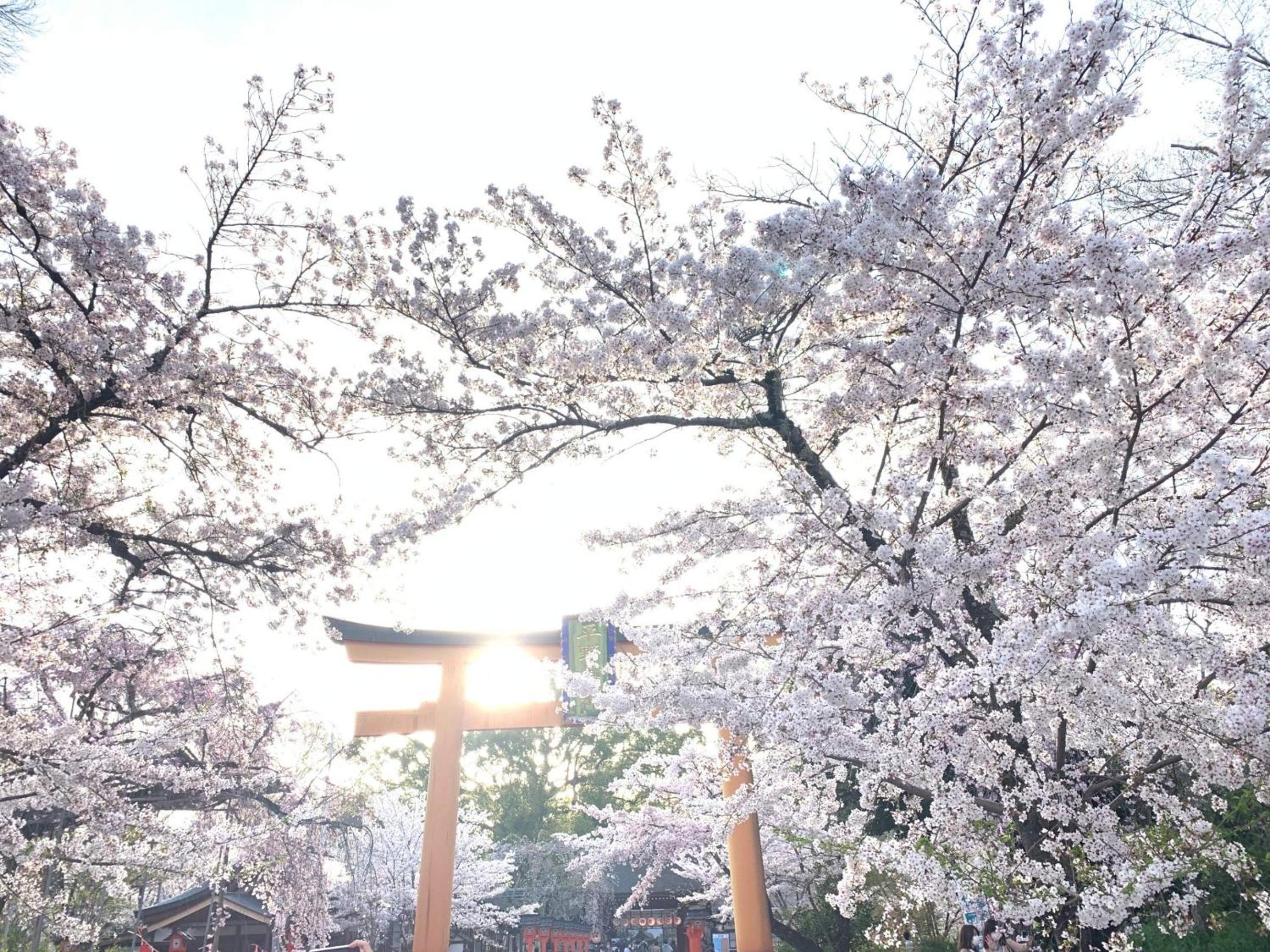 Kyounoyado HANA Nishijin - Kimono no Yado