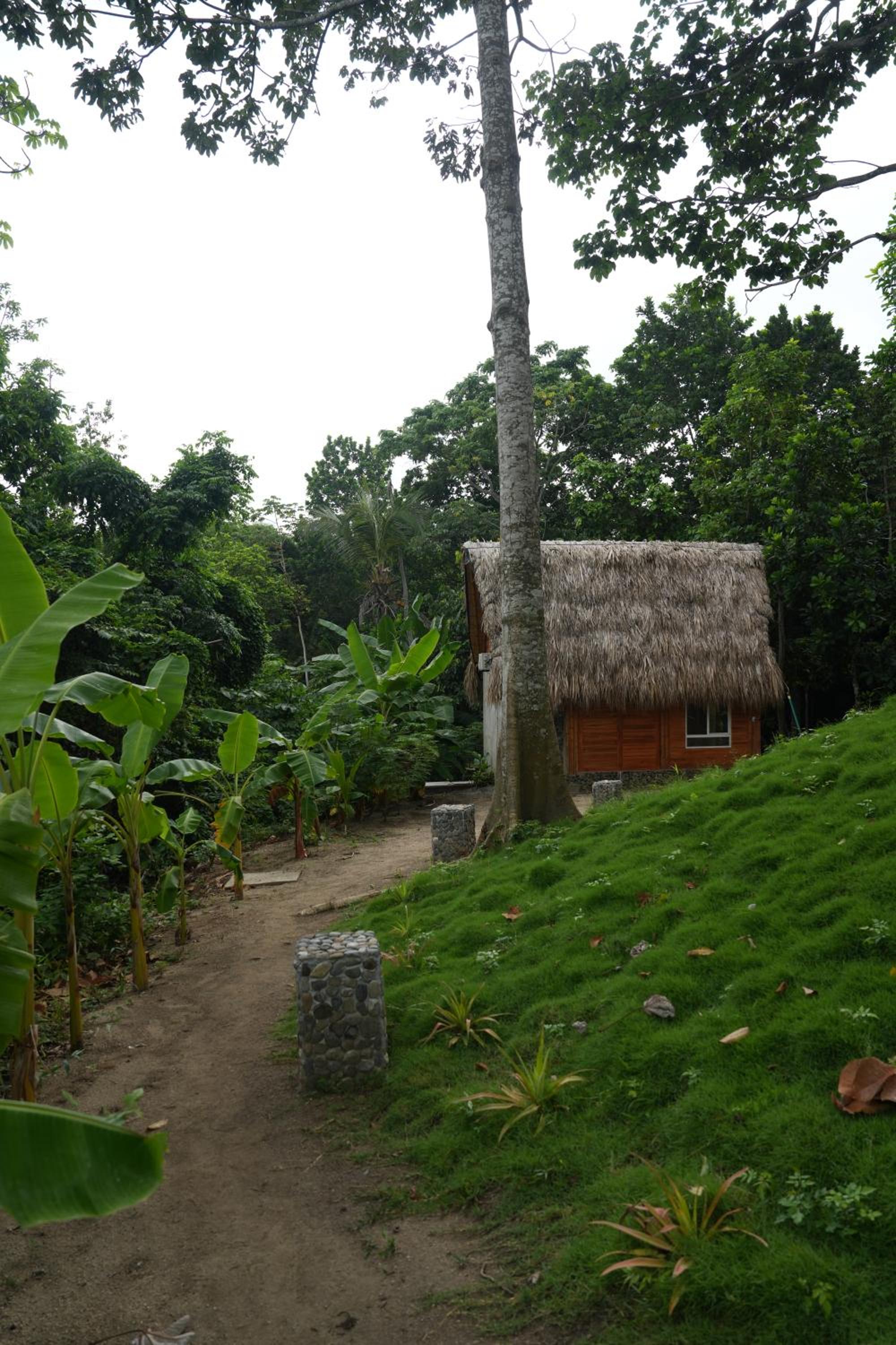 Photo 21