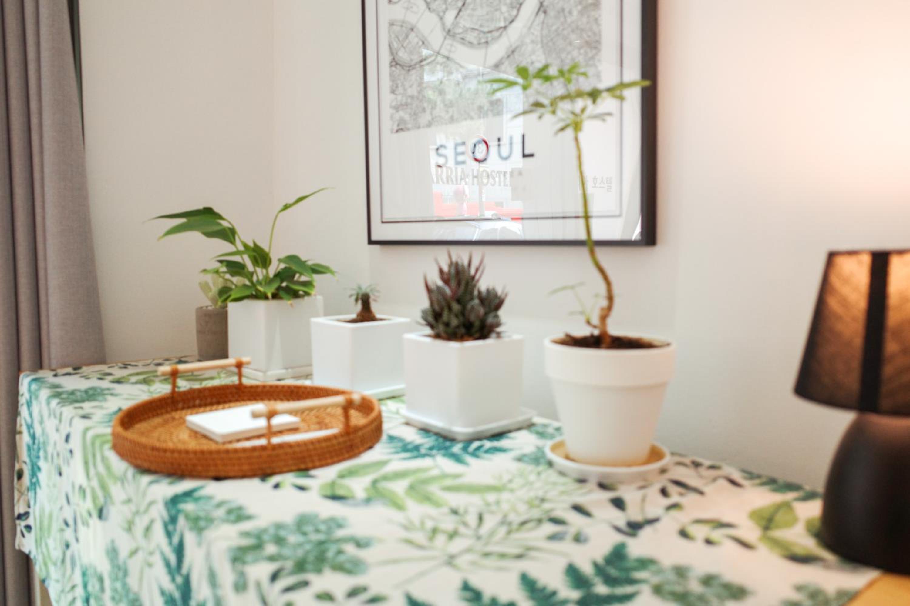 Starria Hostel foreign guest only