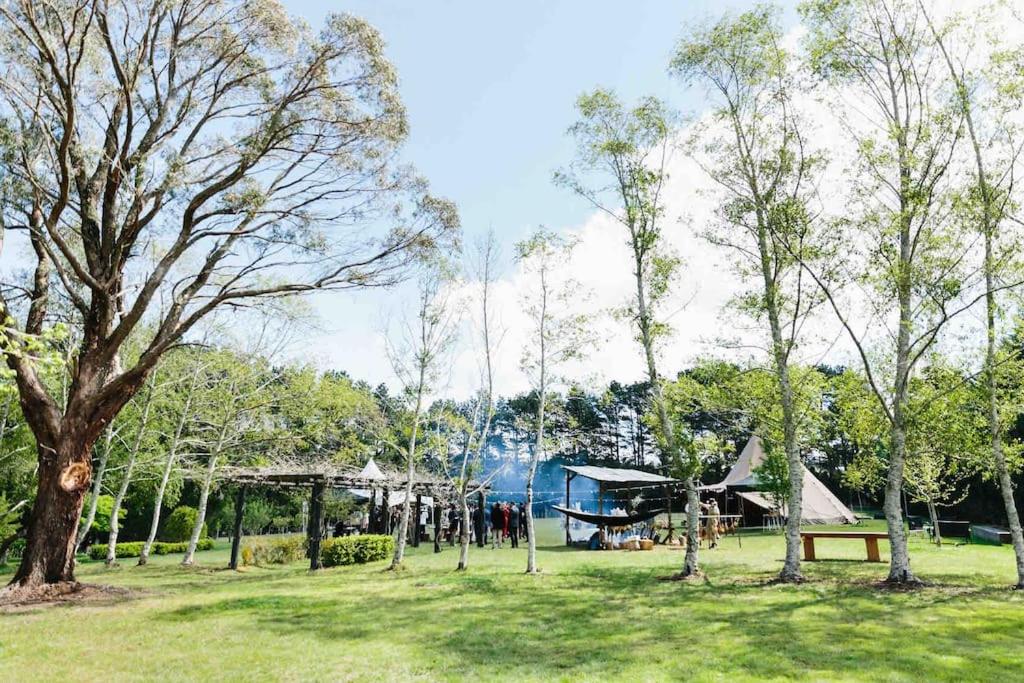 The Maple Lodge - 20 percent off for Black Friday, Nov & Dec dates only