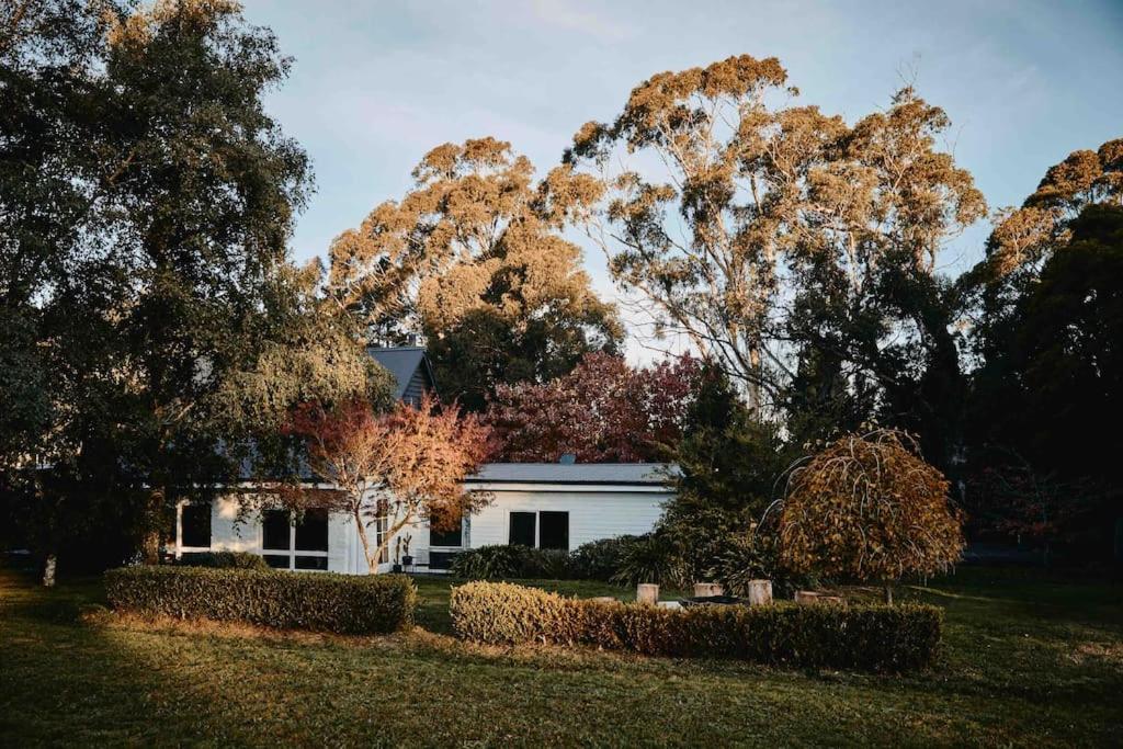 The Maple Lodge - 20 percent off for Black Friday, Nov & Dec dates only