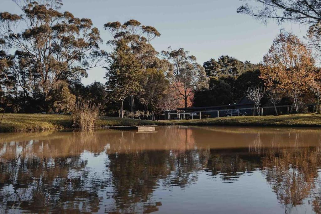 The Maple Lodge - 20 percent off for Black Friday, Nov & Dec dates only