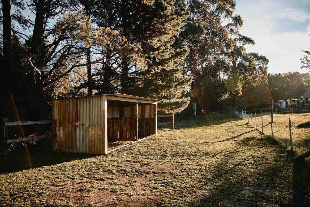 The Maple Lodge - 20 percent off for Black Friday, Nov & Dec dates only