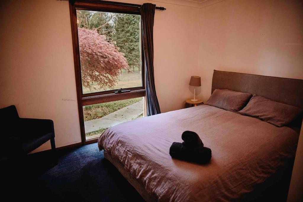 The Maple Lodge - 20 percent off for Black Friday, Nov & Dec dates only