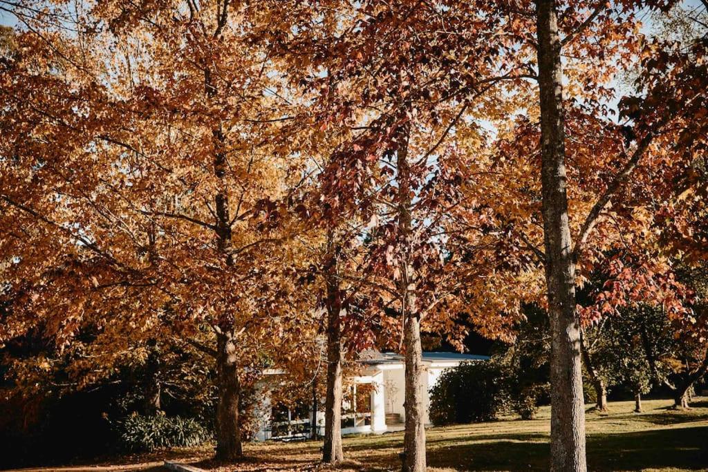 The Maple Lodge - 20 percent off for Black Friday, Nov & Dec dates only