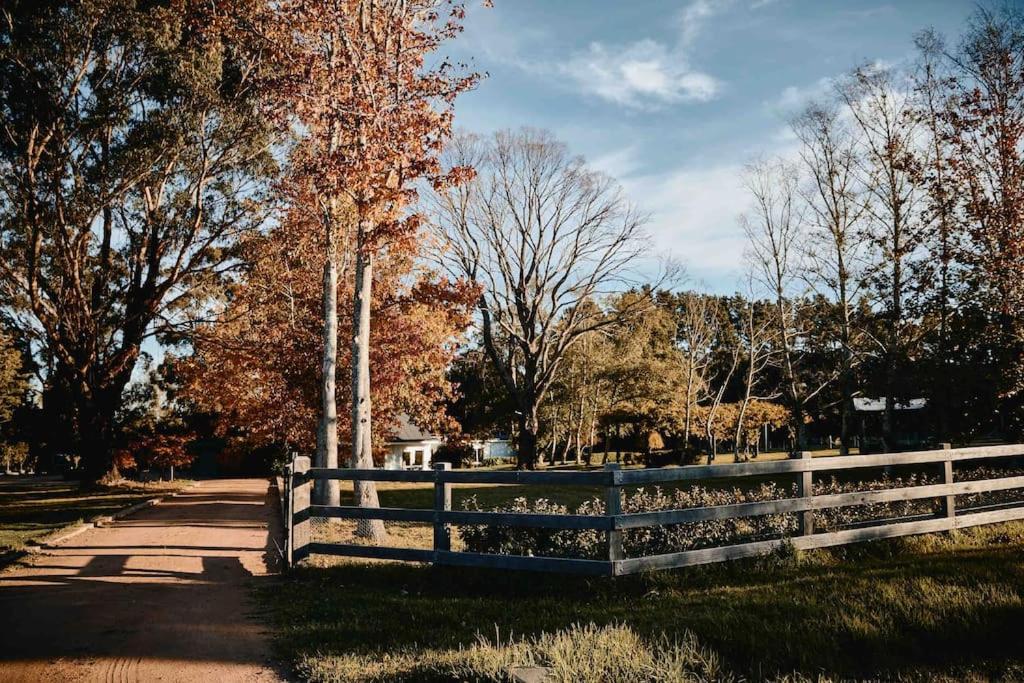 The Maple Lodge - 20 percent off for Black Friday, Nov & Dec dates only