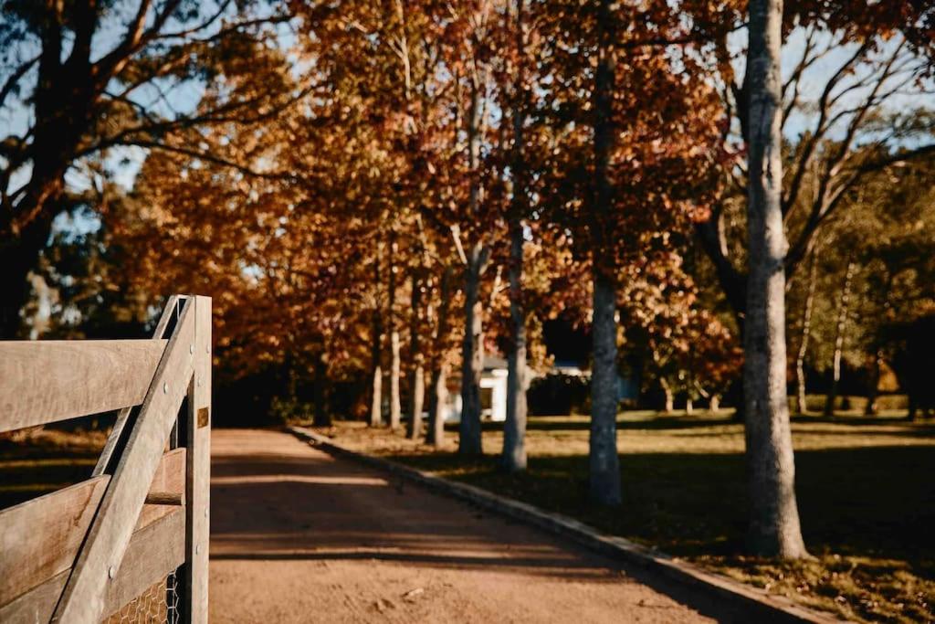 The Maple Lodge - 20 percent off for Black Friday, Nov & Dec dates only