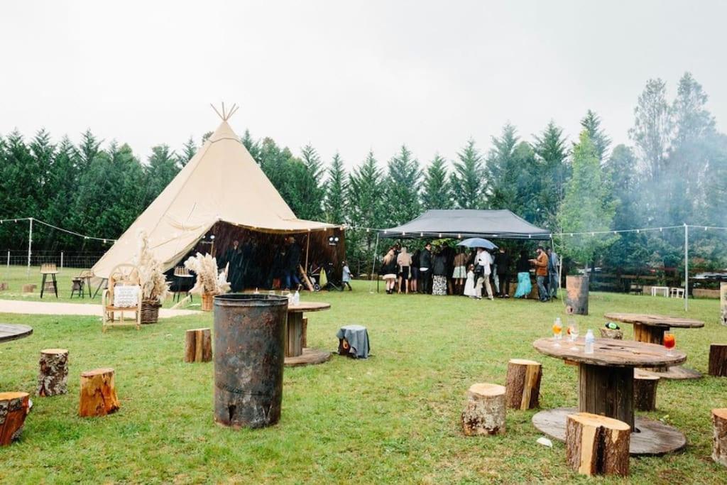The Maple Lodge - 20 percent off for Black Friday, Nov & Dec dates only