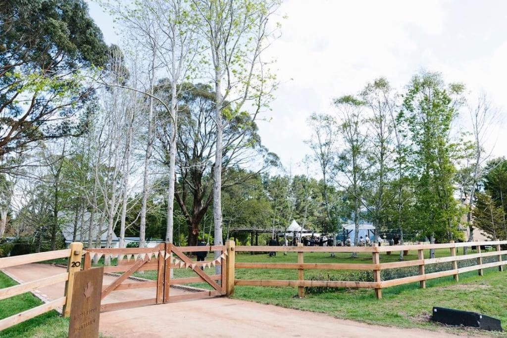 The Maple Lodge - 20 percent off for Black Friday, Nov & Dec dates only